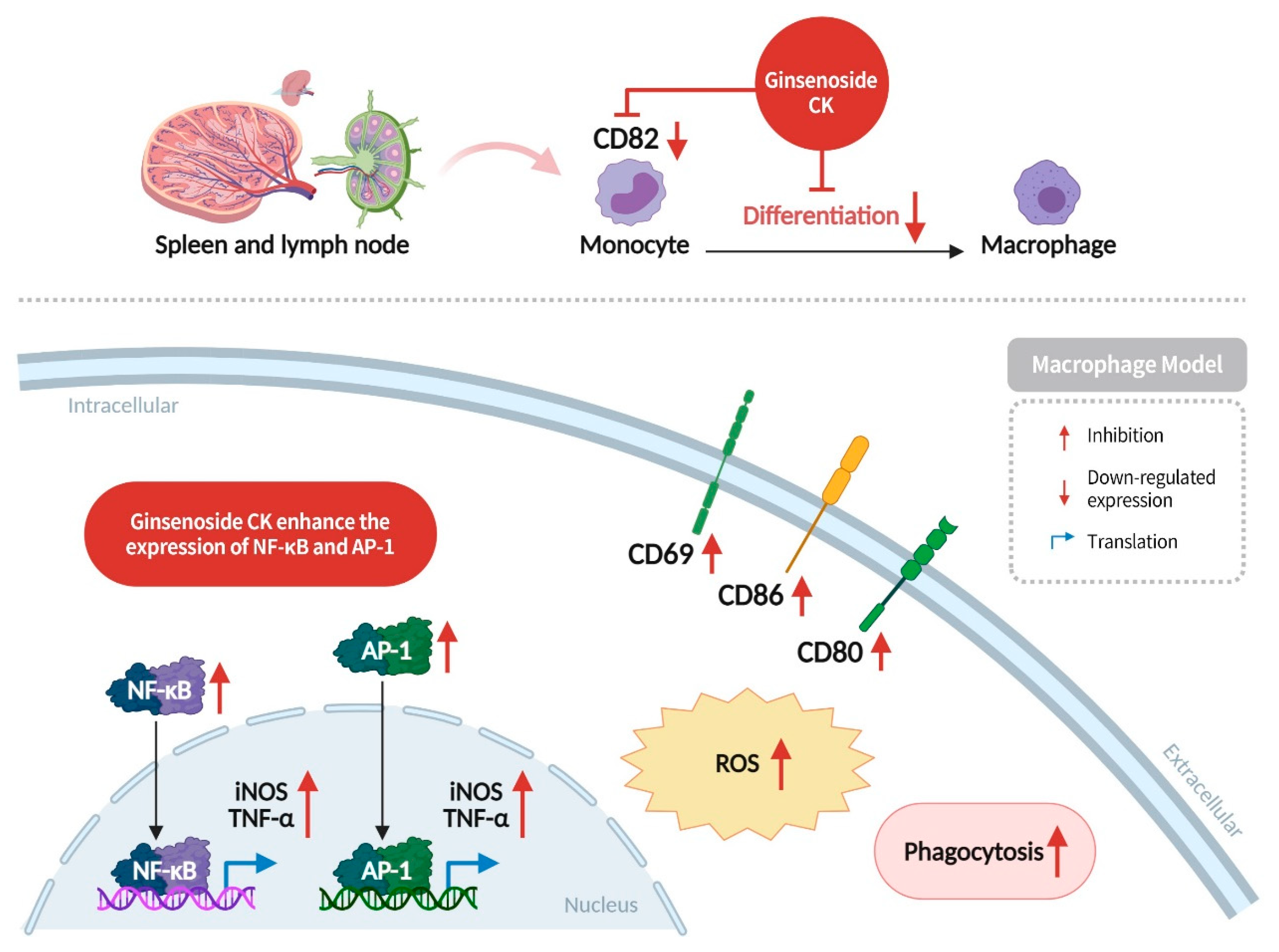 Diseases 13 00143 g009