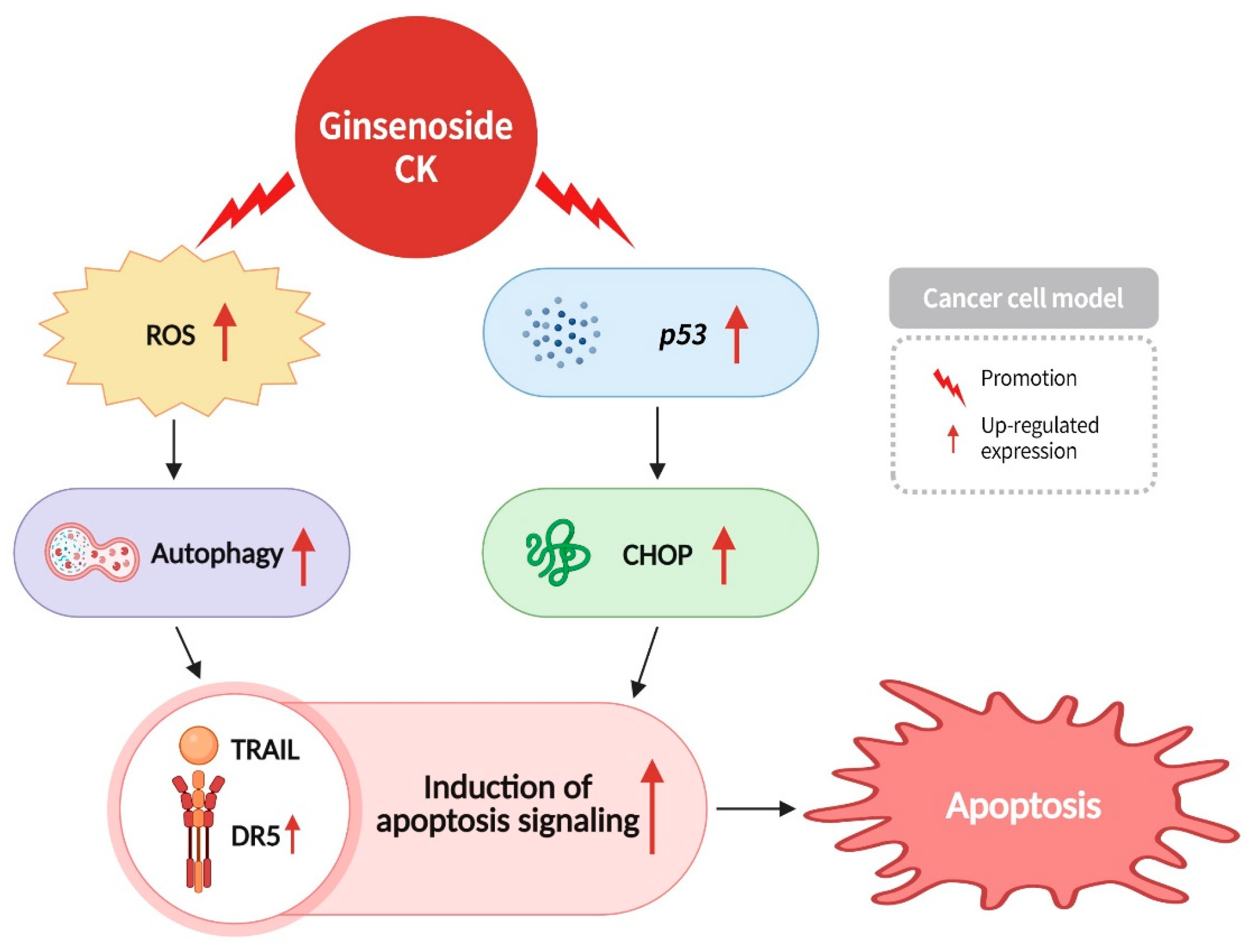 Diseases 13 00143 g012