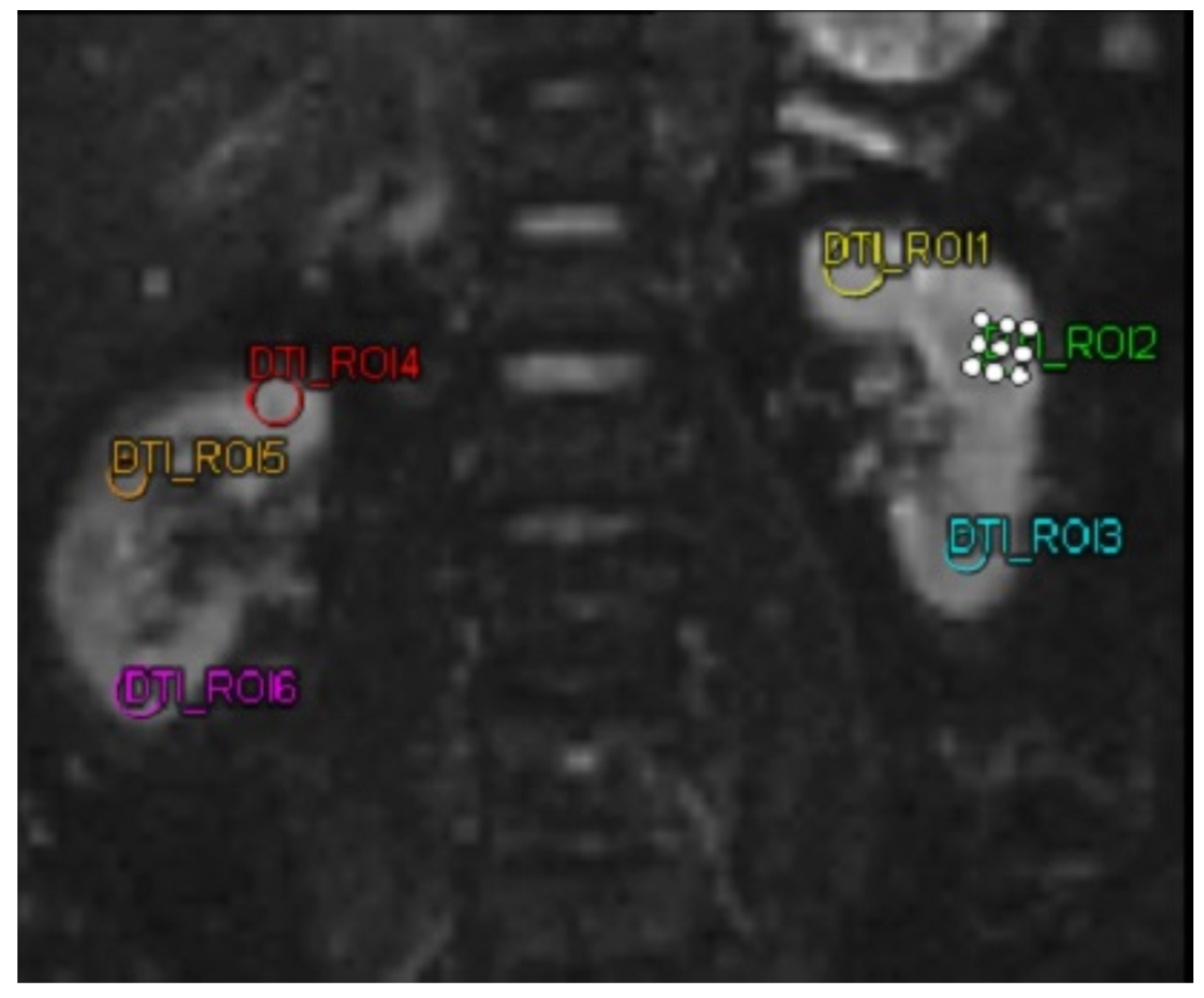 Diseases 13 00159 g002