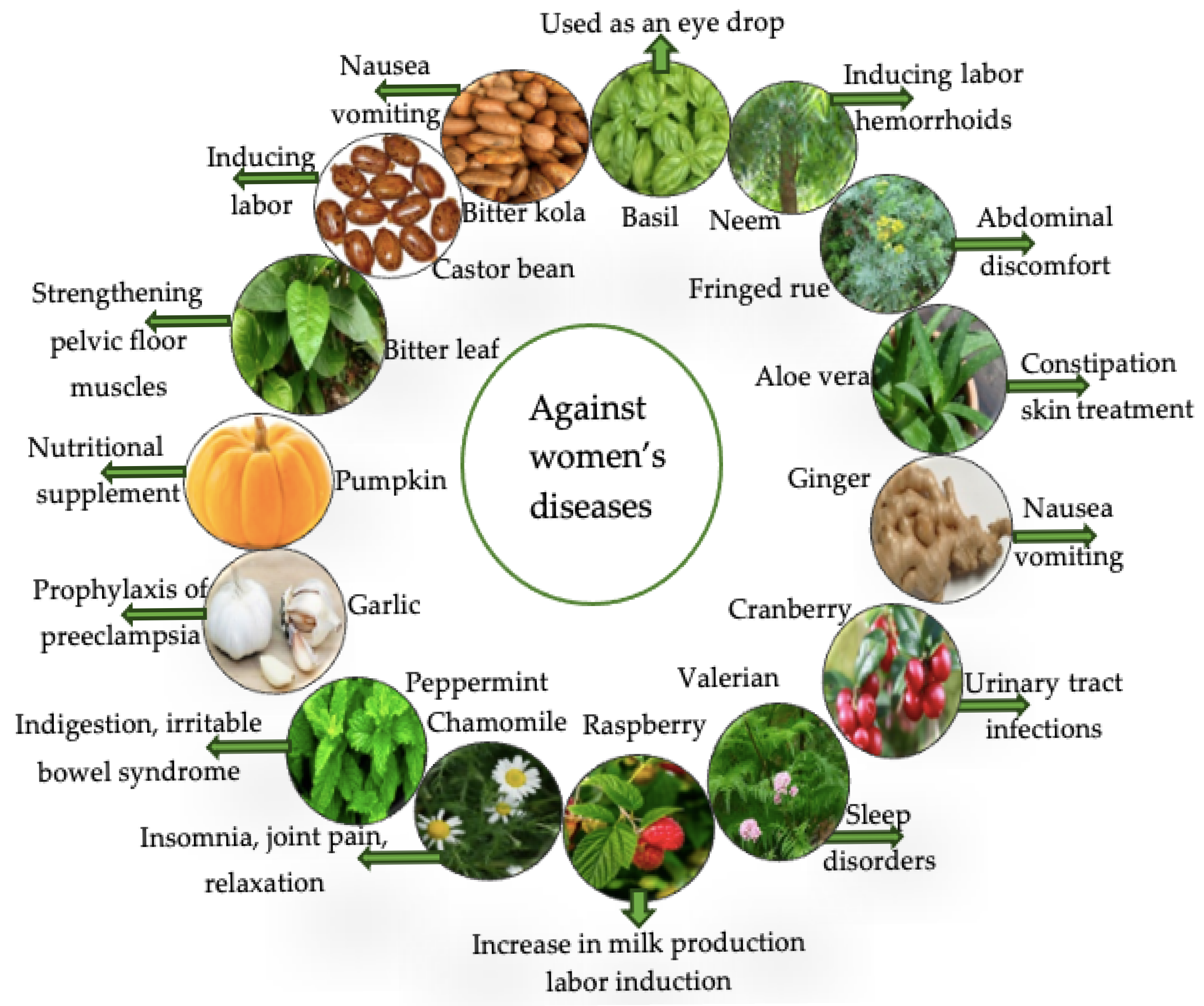 Diseases 13 00160 g003