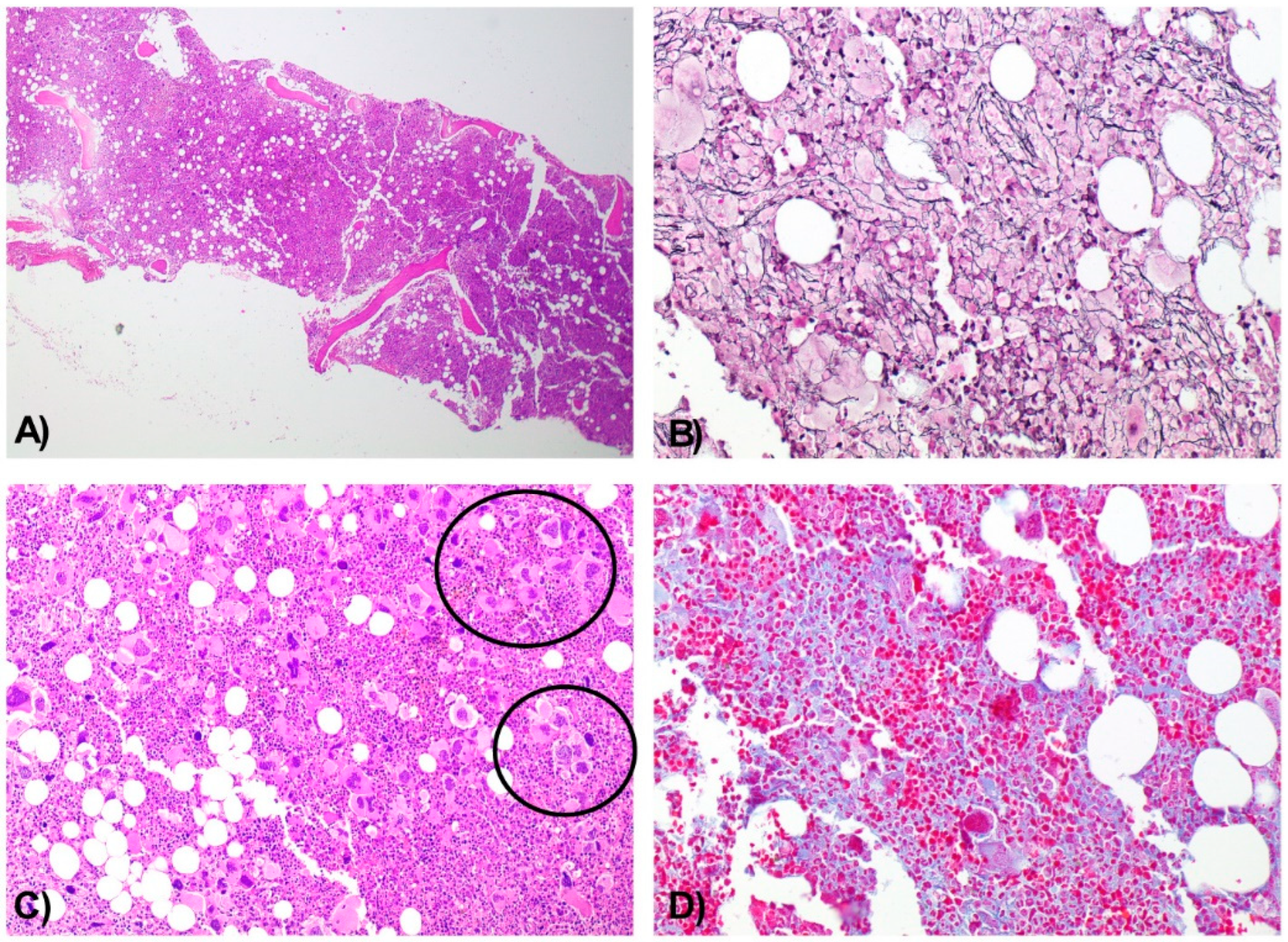 Diseases 13 00162 g002