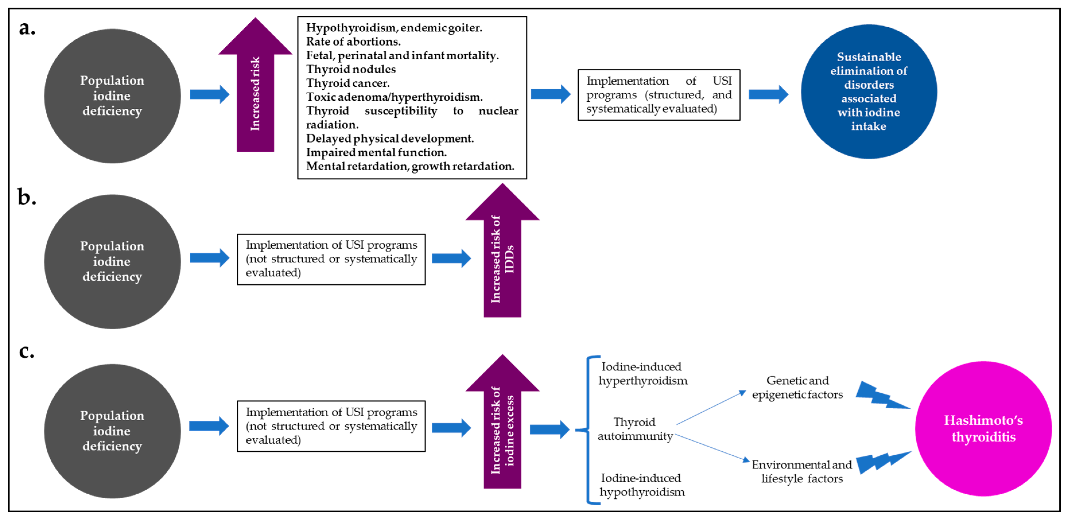 Diseases 13 00166 g002