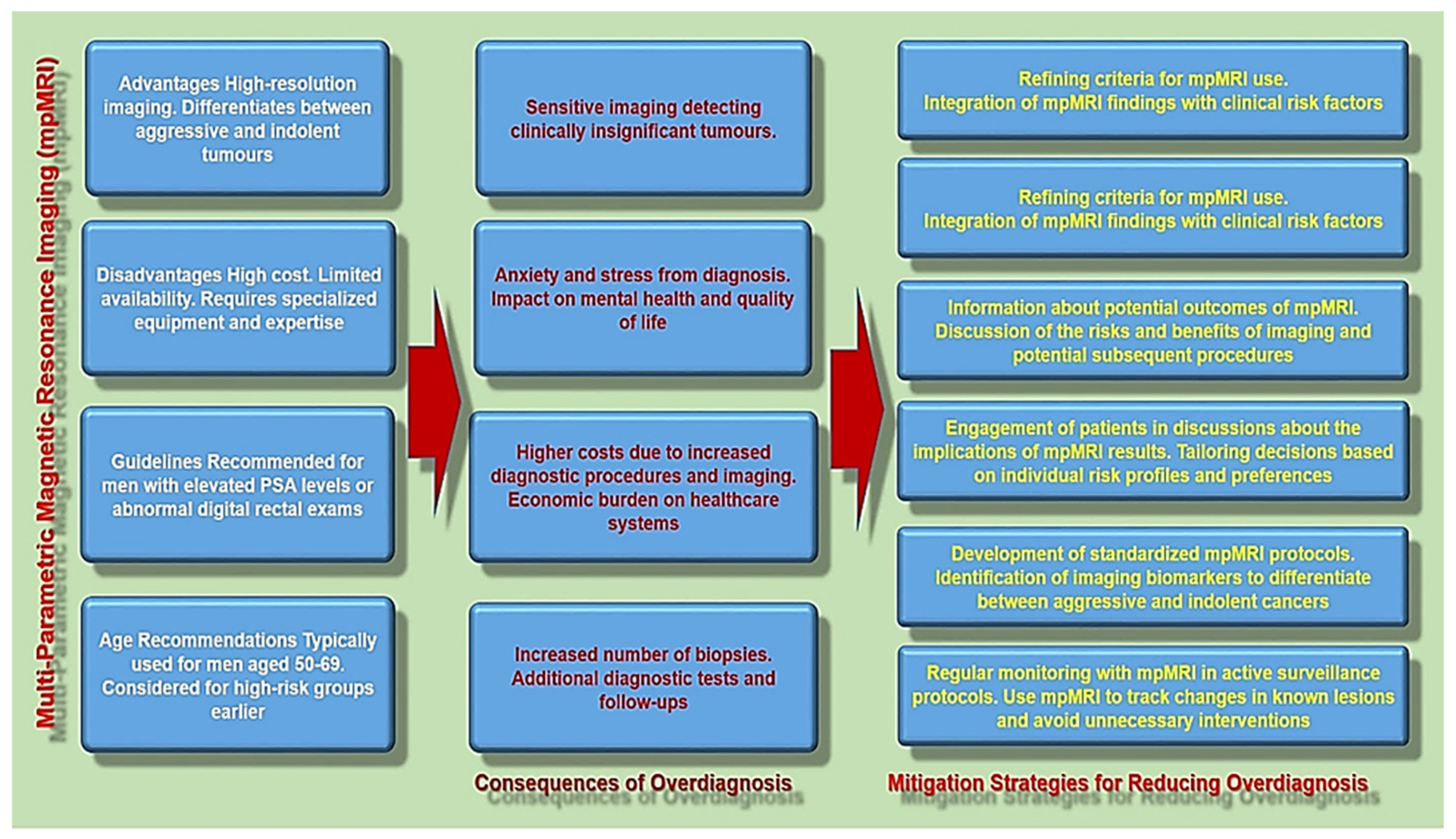 Diseases 13 00167 g001