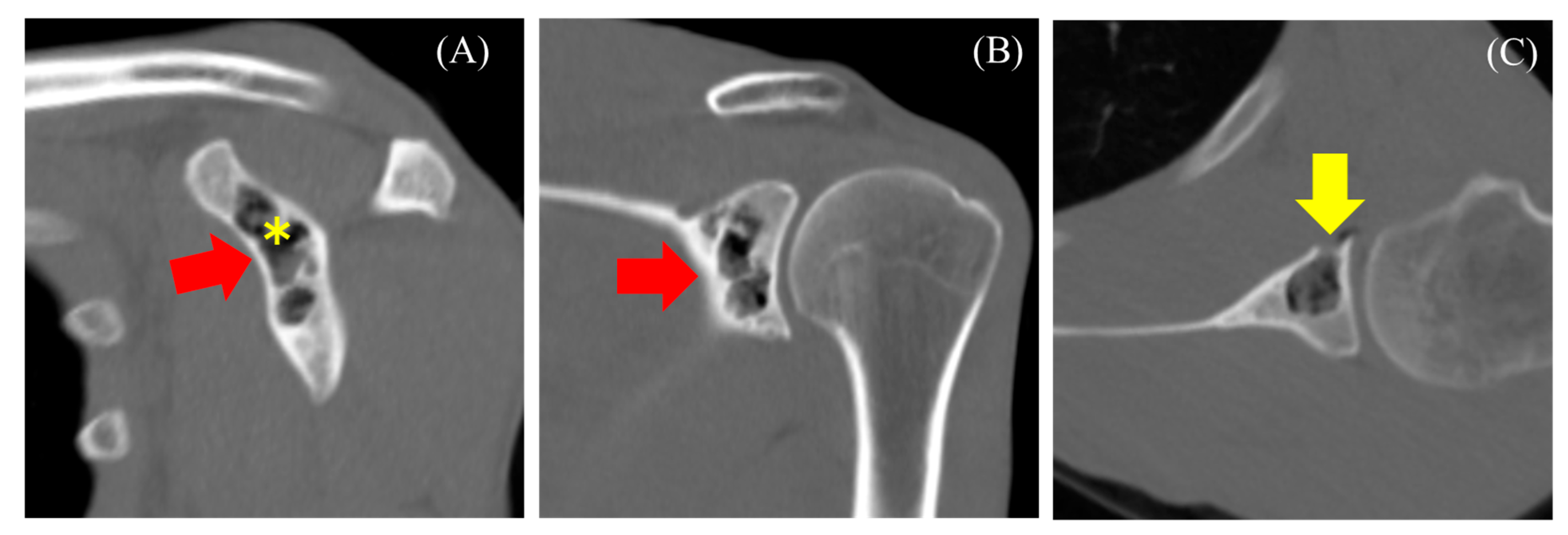Diseases 13 00170 g003