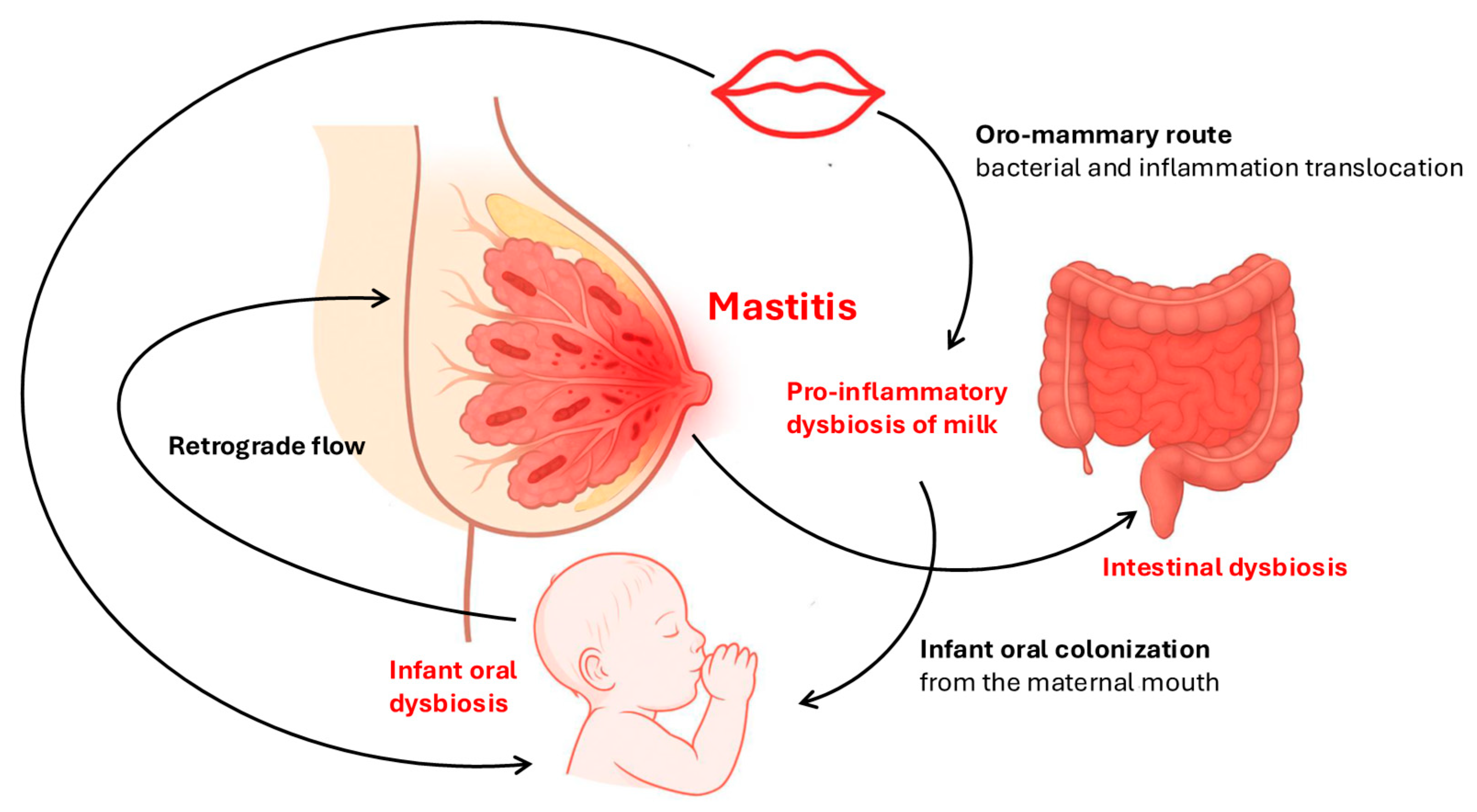 Diseases 13 00176 g002