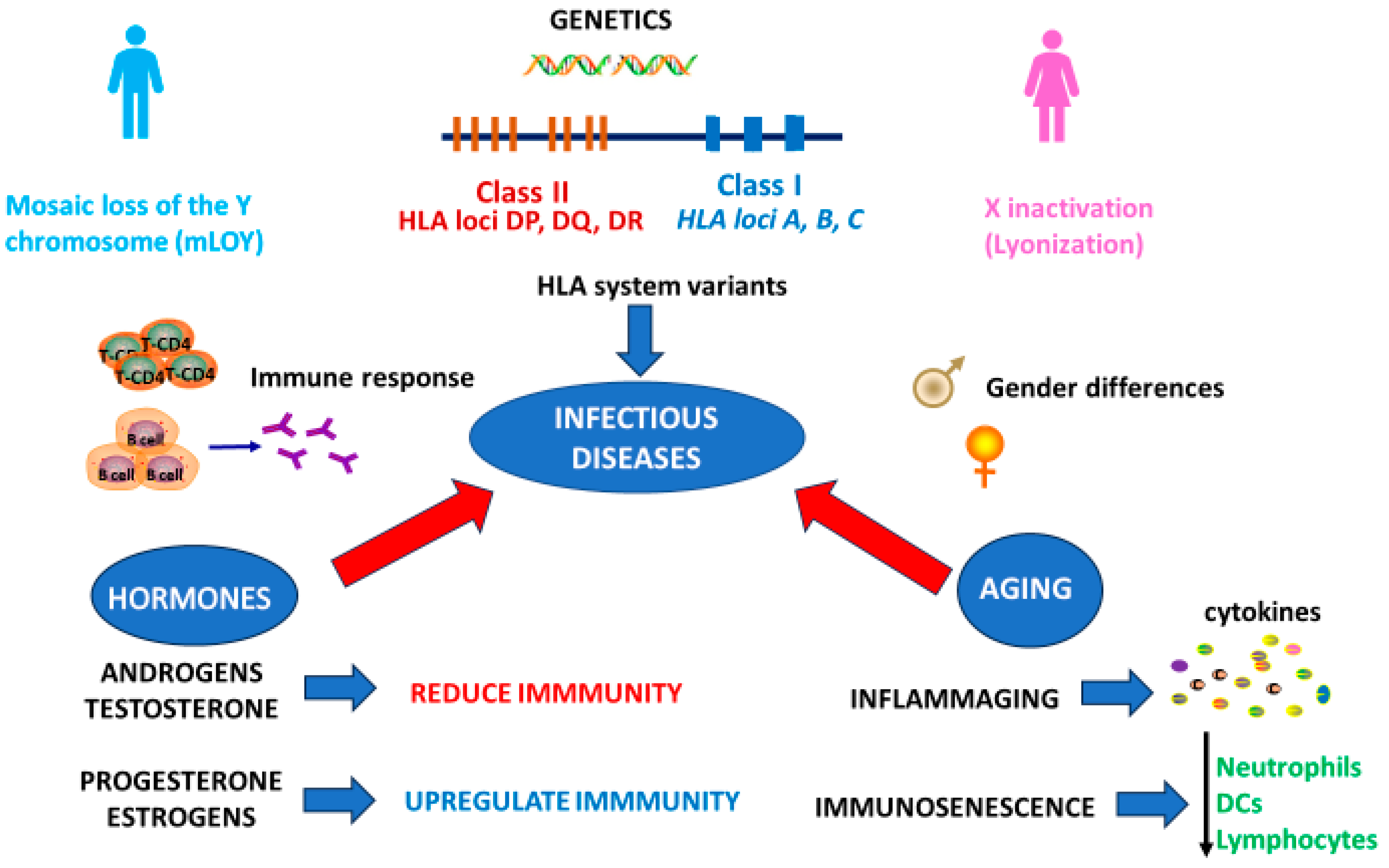 Diseases 13 00179 g001