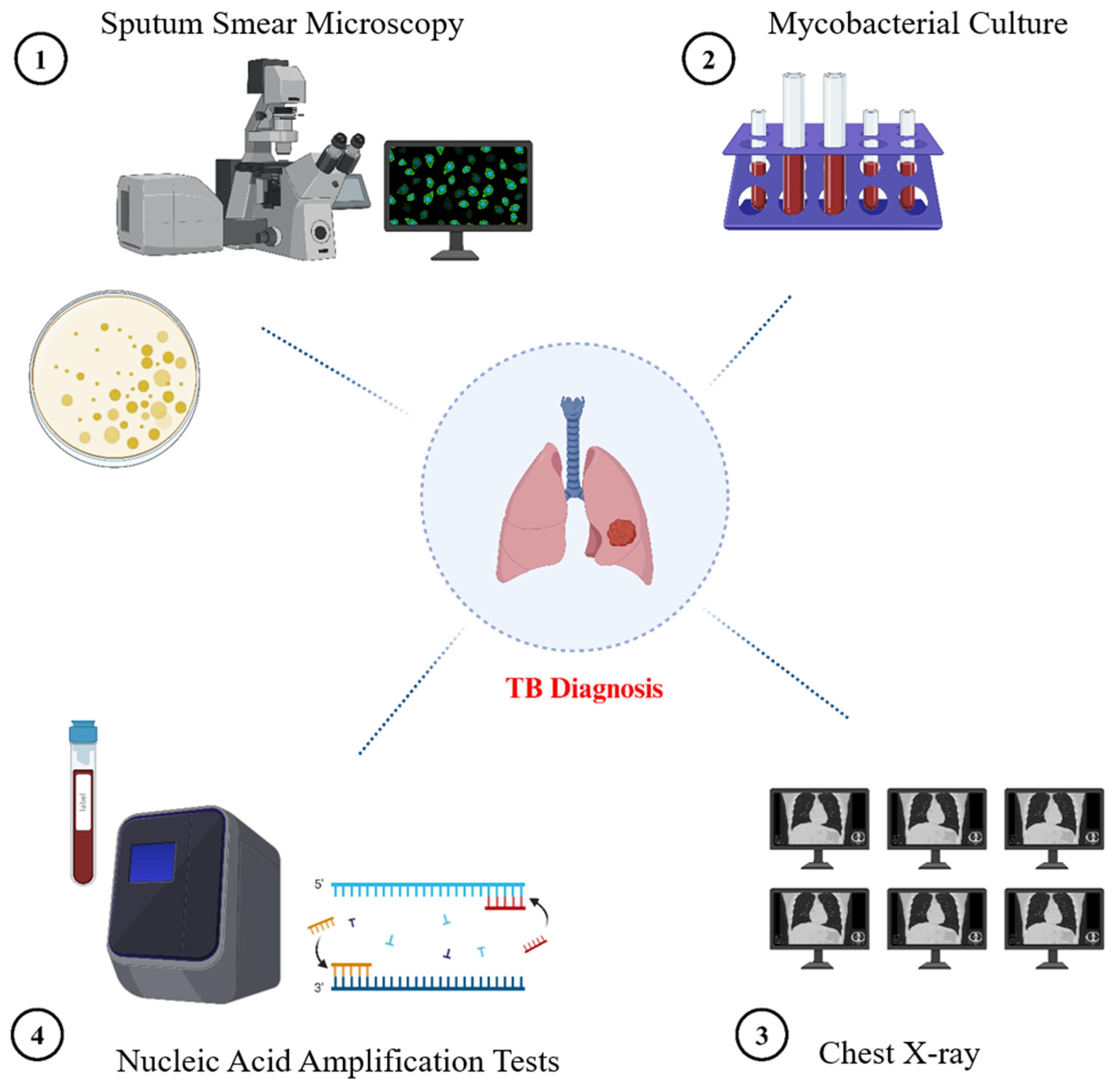 Diseases 13 00184 g002
