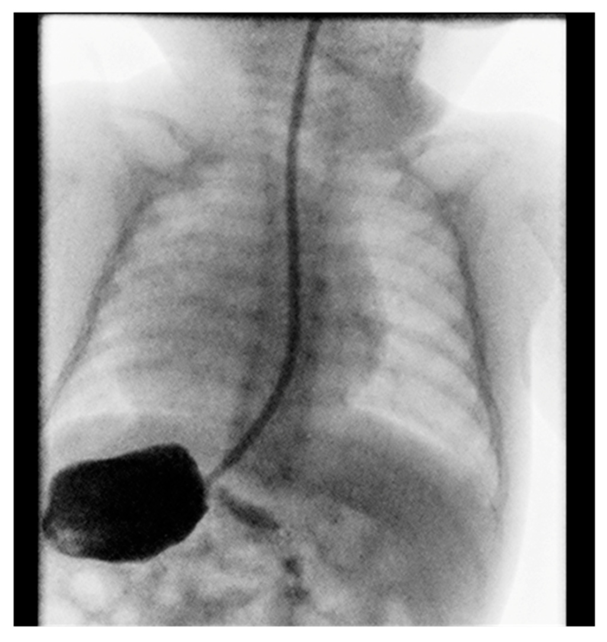 Diseases 13 00192 g002