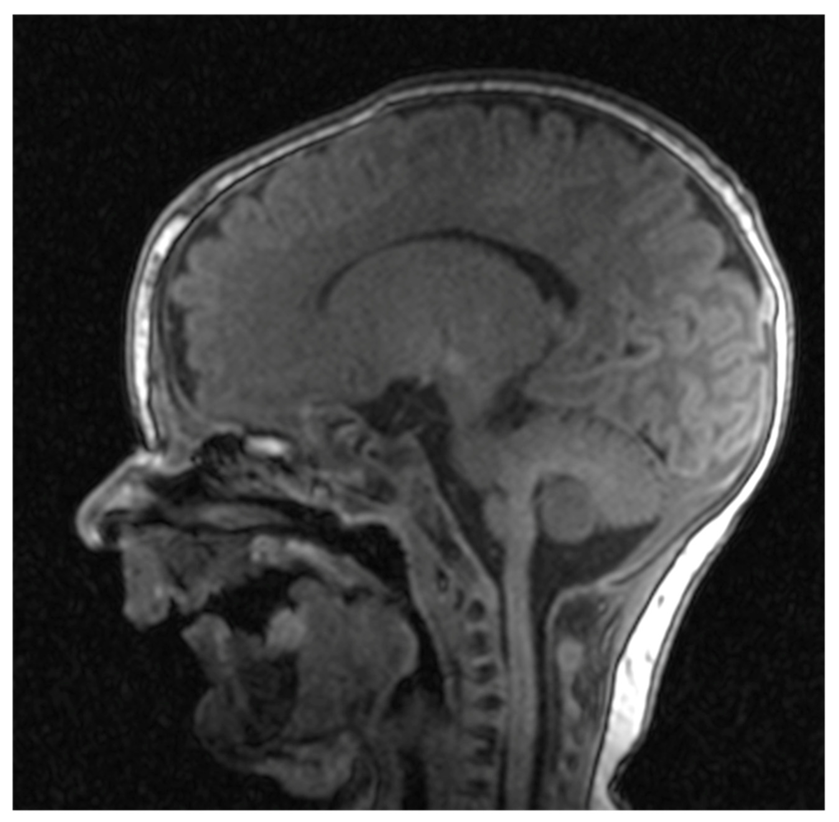 Diseases 13 00192 g005