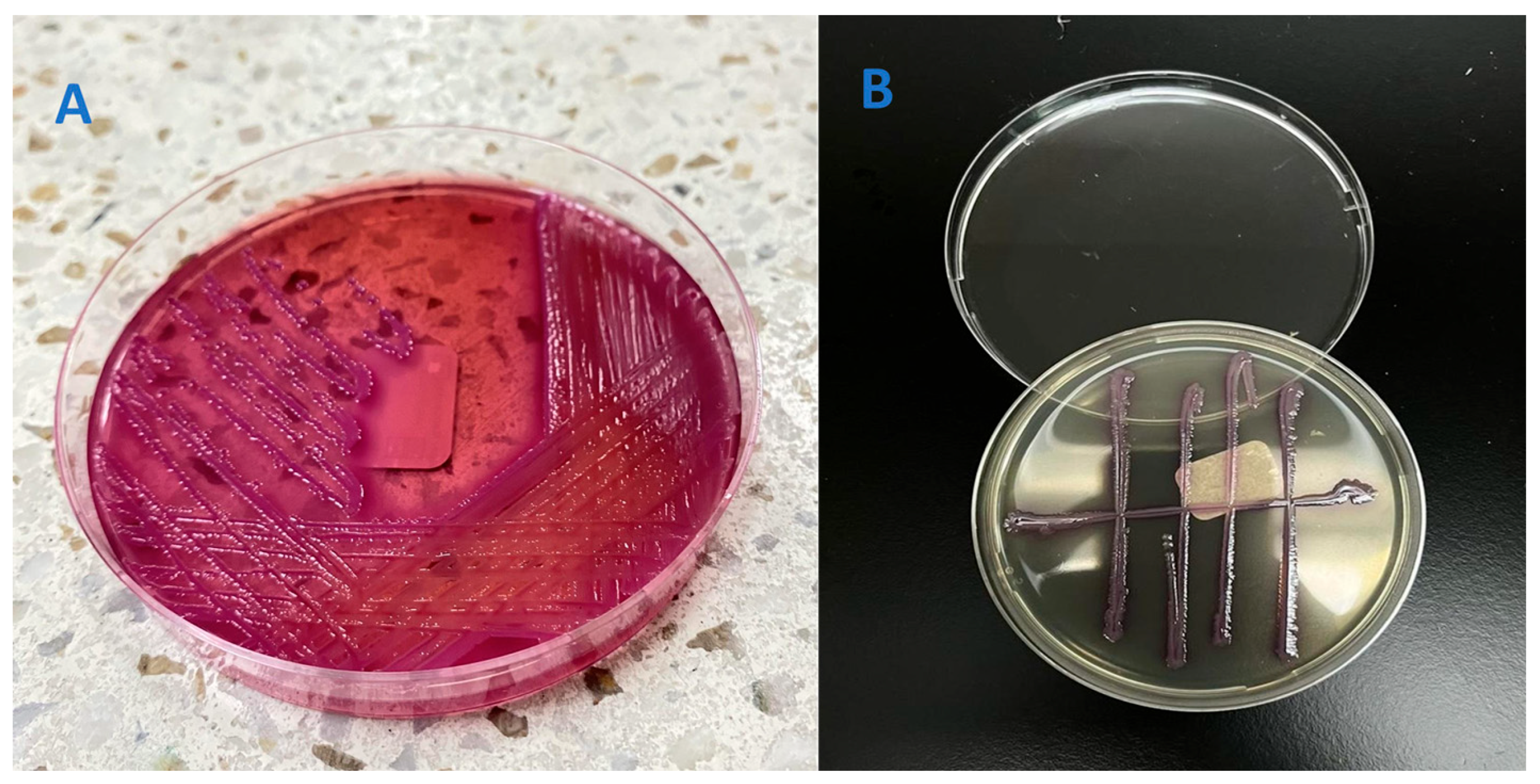 Diseases 13 00194 g002
