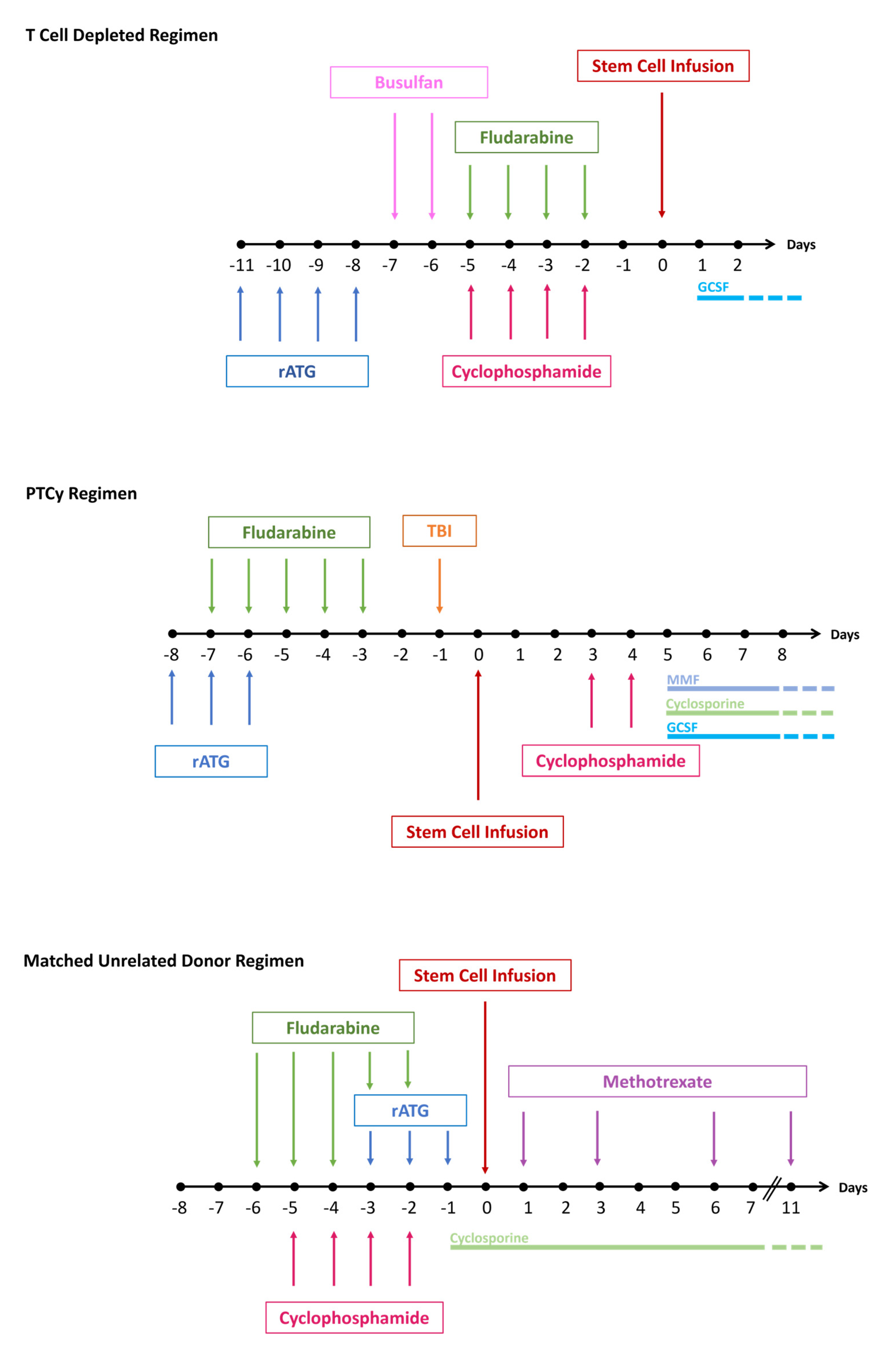 Diseases 13 00195 g001