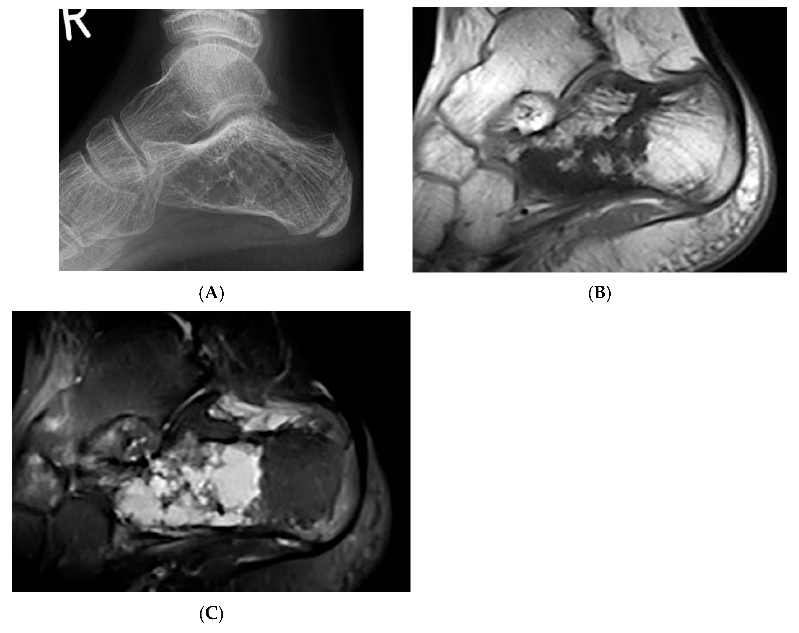 Diseases 13 00197 g005