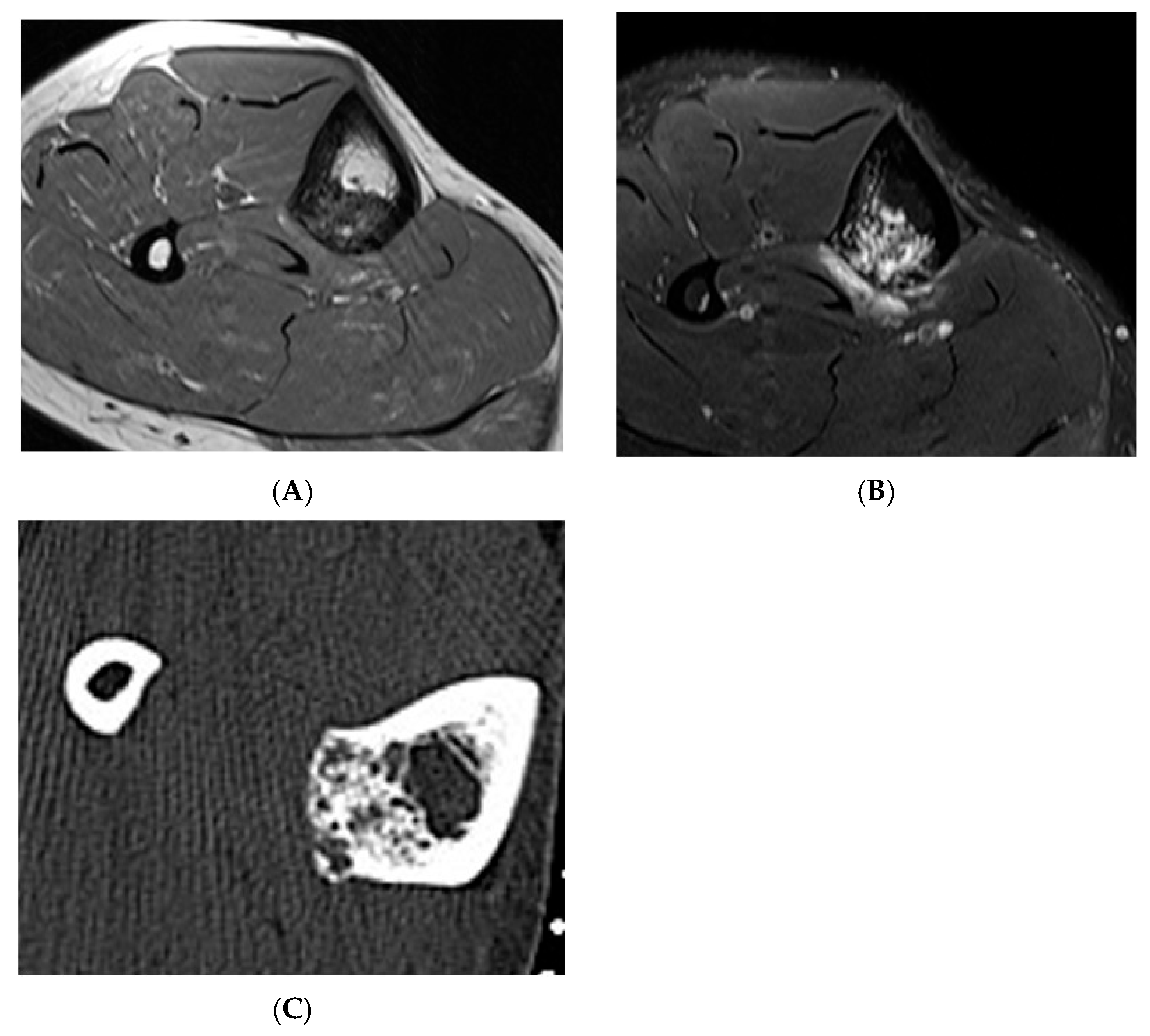 Diseases 13 00197 g006