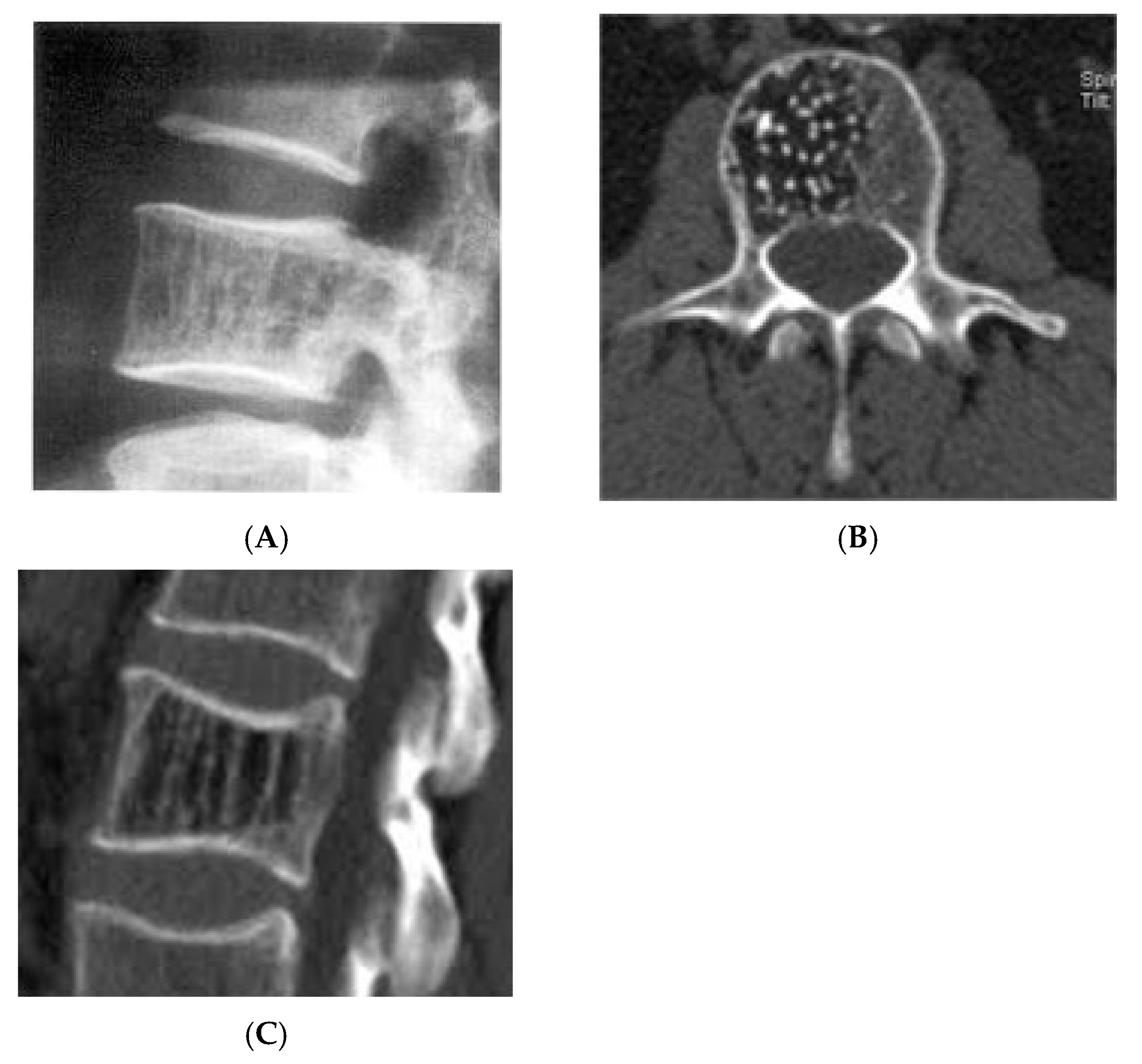 Diseases 13 00197 g007