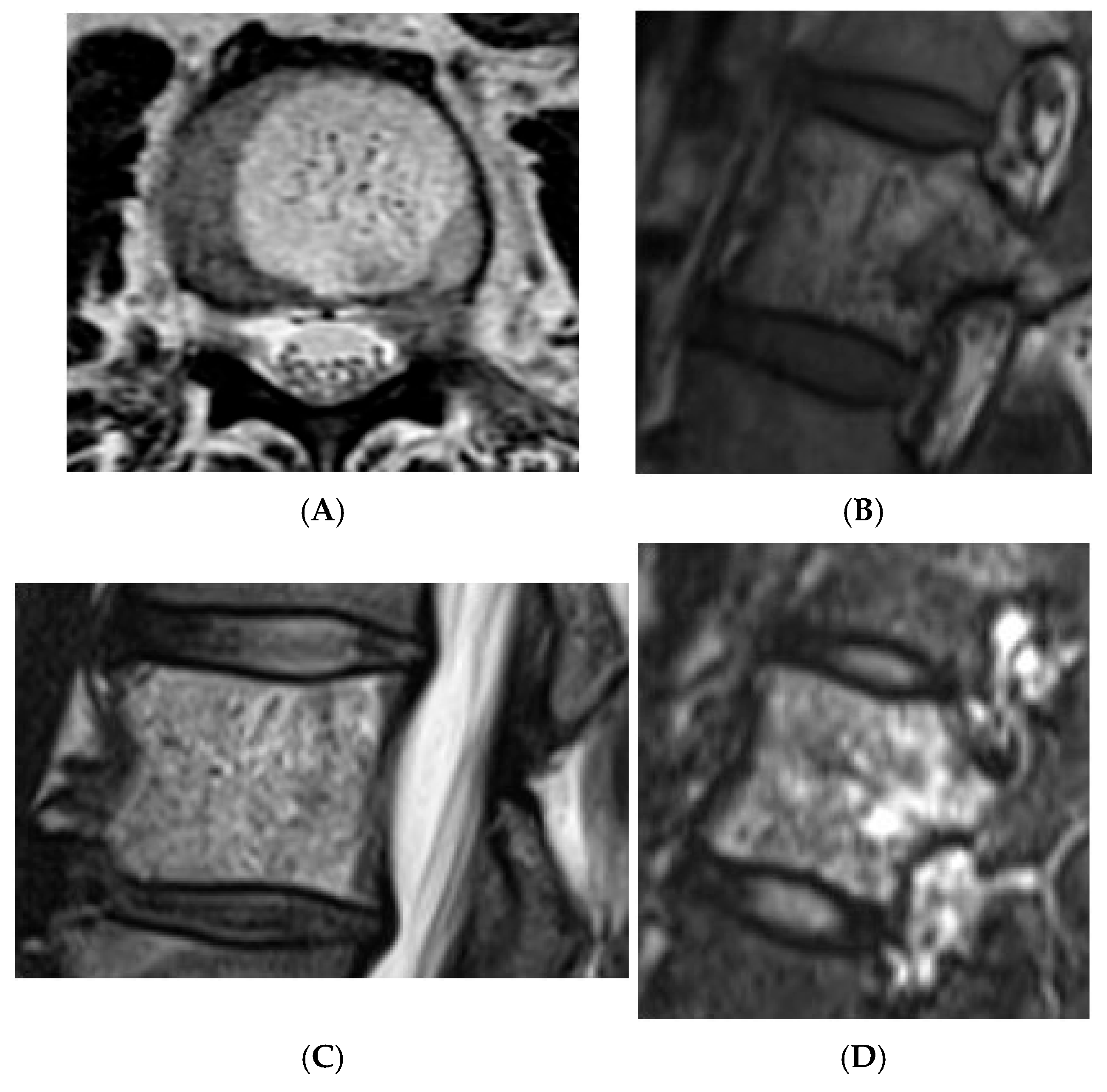 Diseases 13 00197 g010