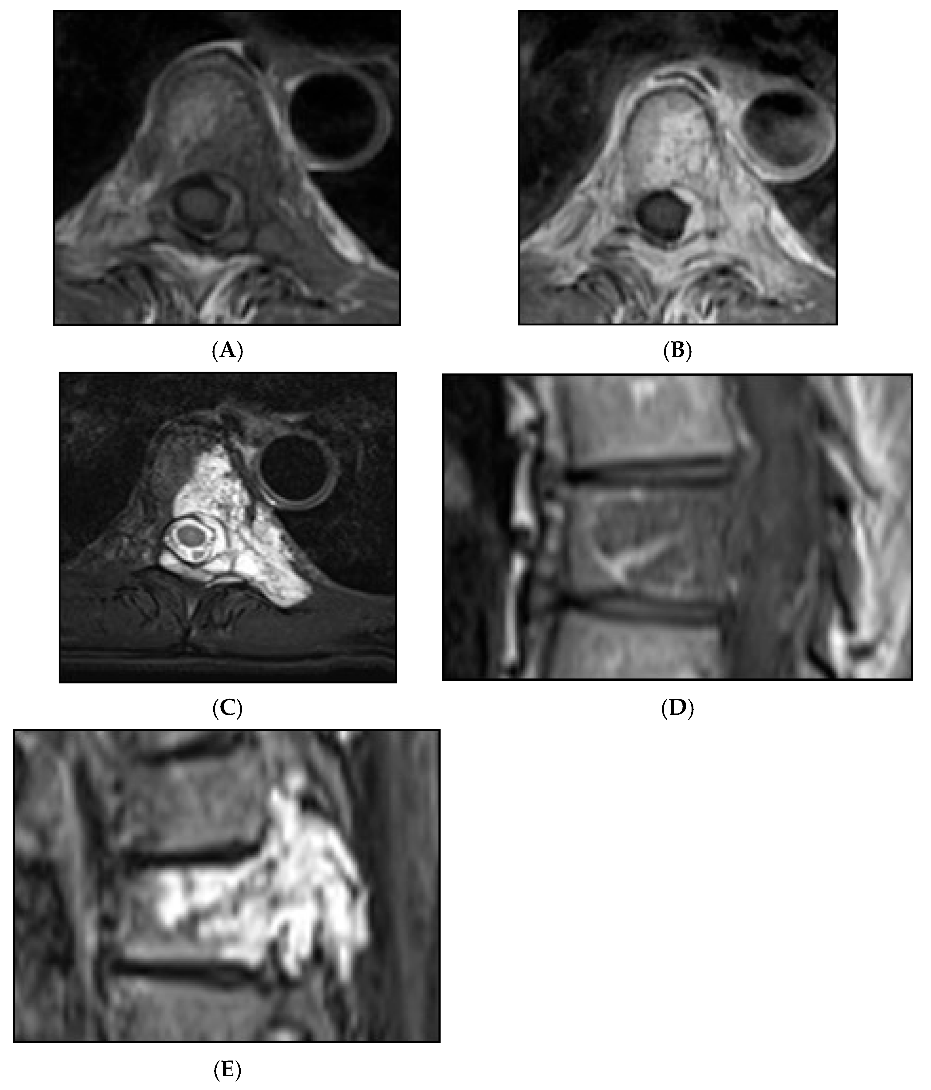Diseases 13 00197 g012