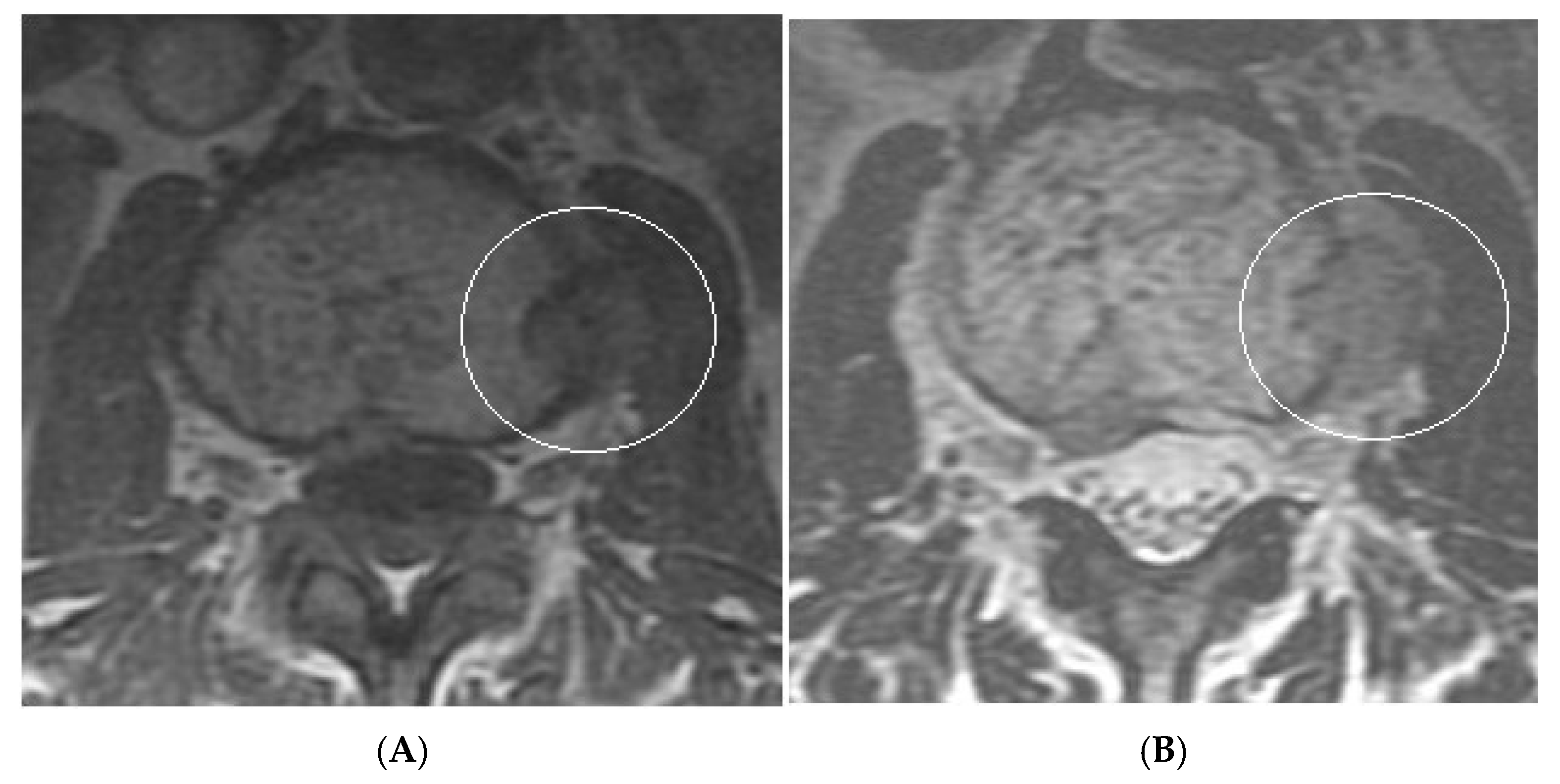 Diseases 13 00197 g015
