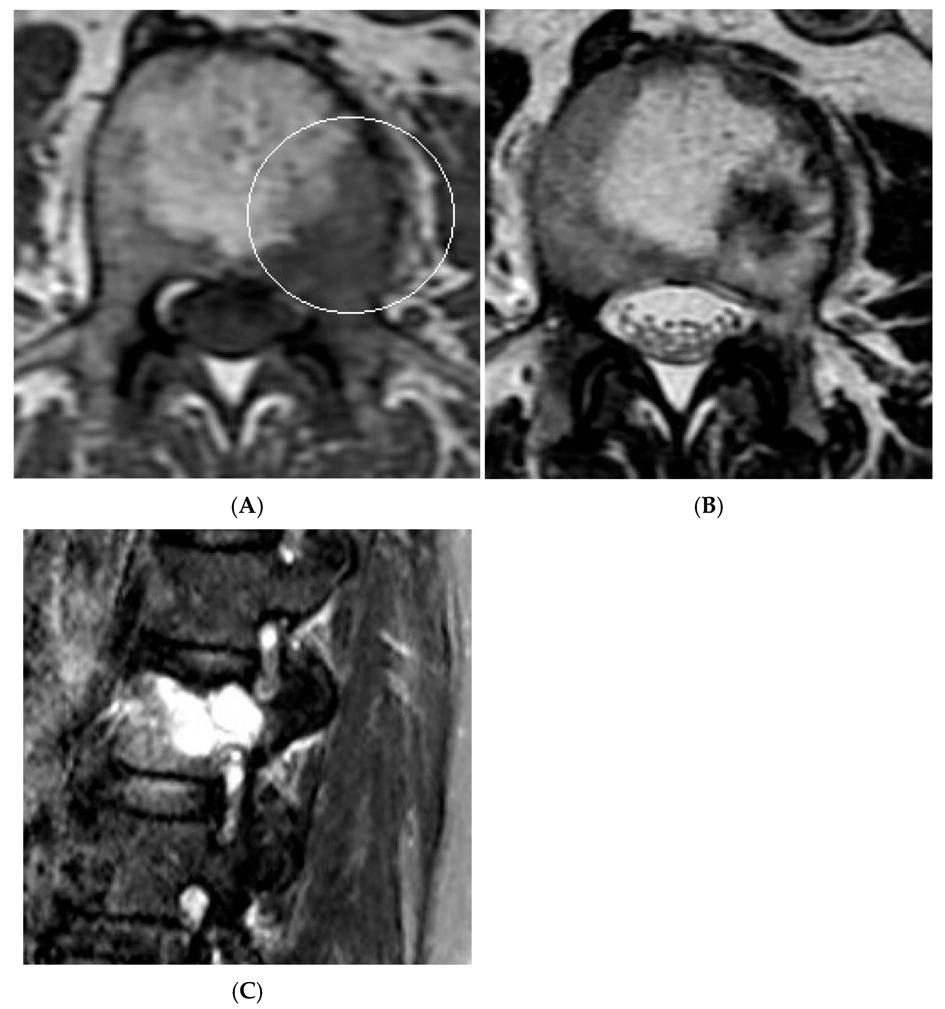 Diseases 13 00197 g016
