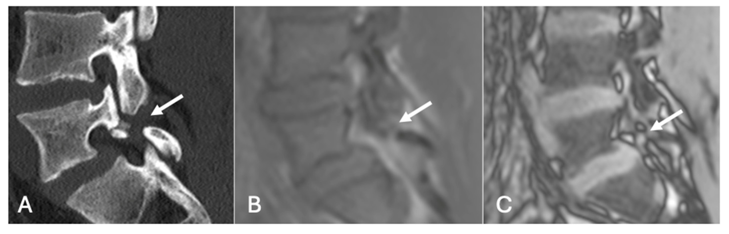 Diseases 13 00197 g019
