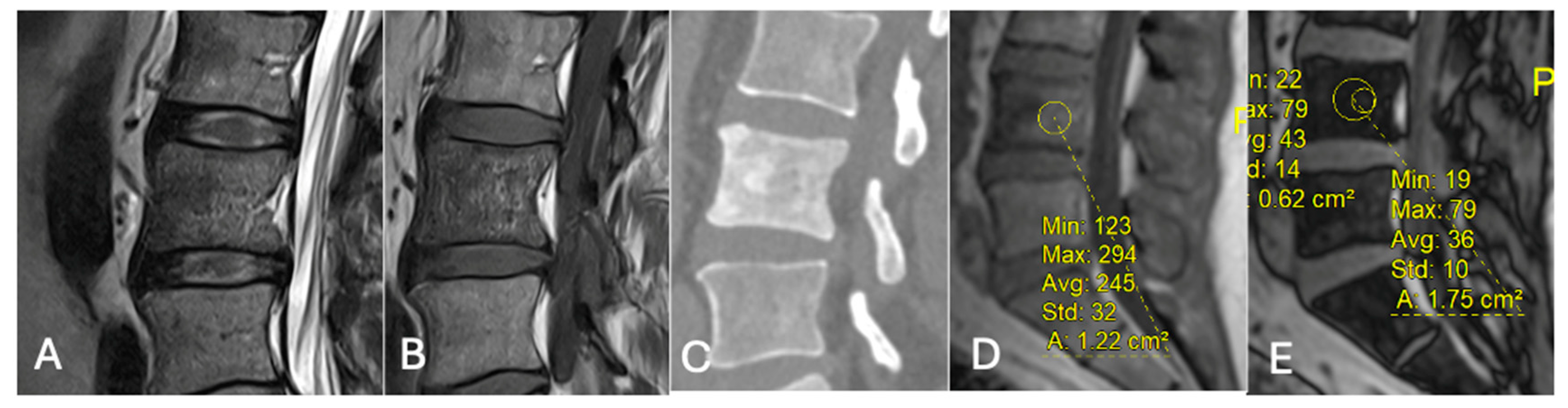 Diseases 13 00197 g021