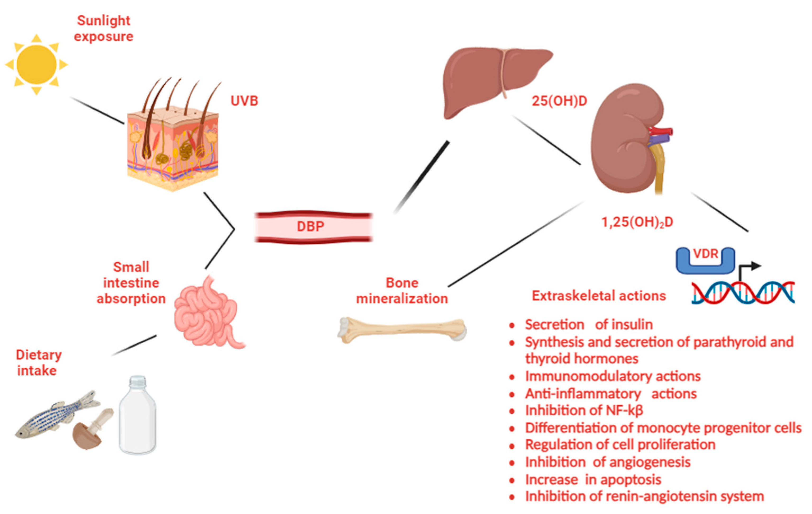 Diseases 13 00198 g001