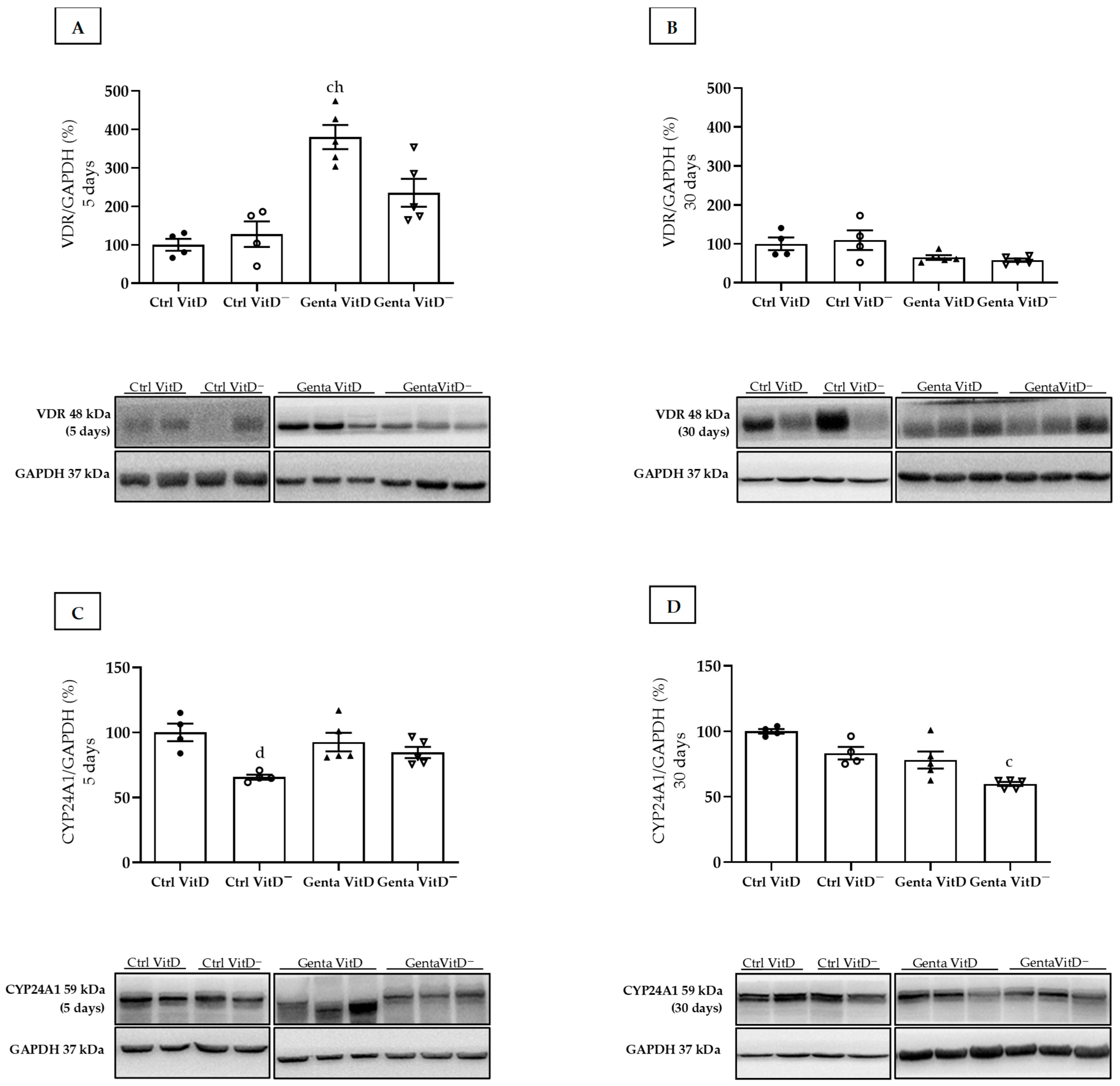Diseases 13 00200 g001
