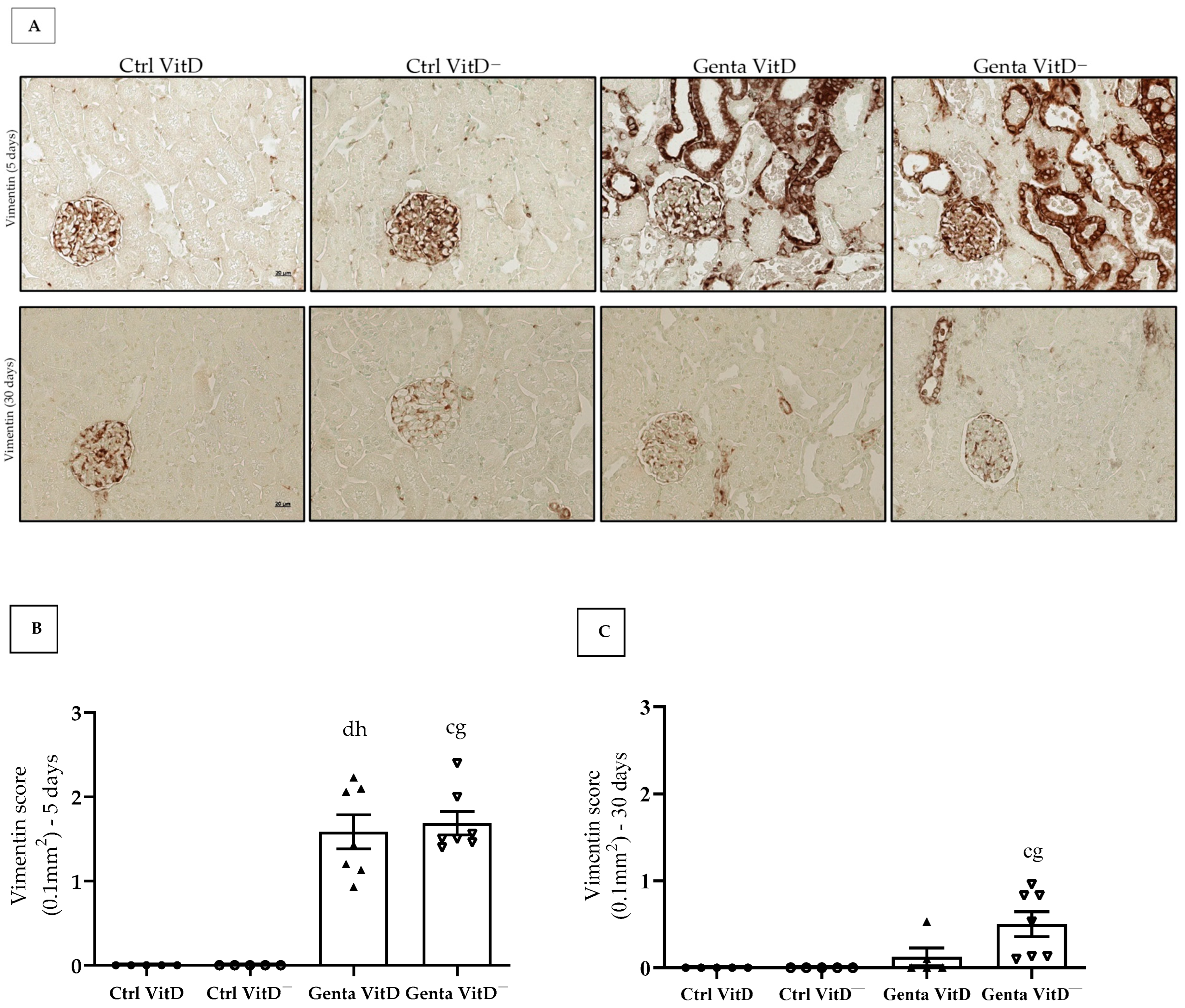 Diseases 13 00200 g003