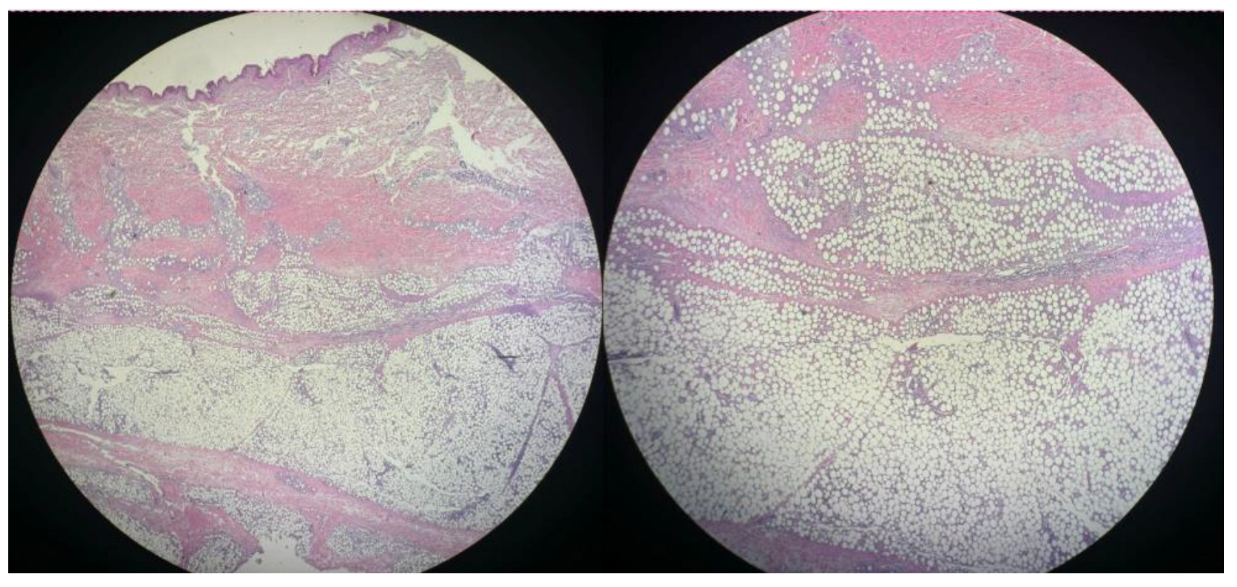 Diseases 13 00201 g008