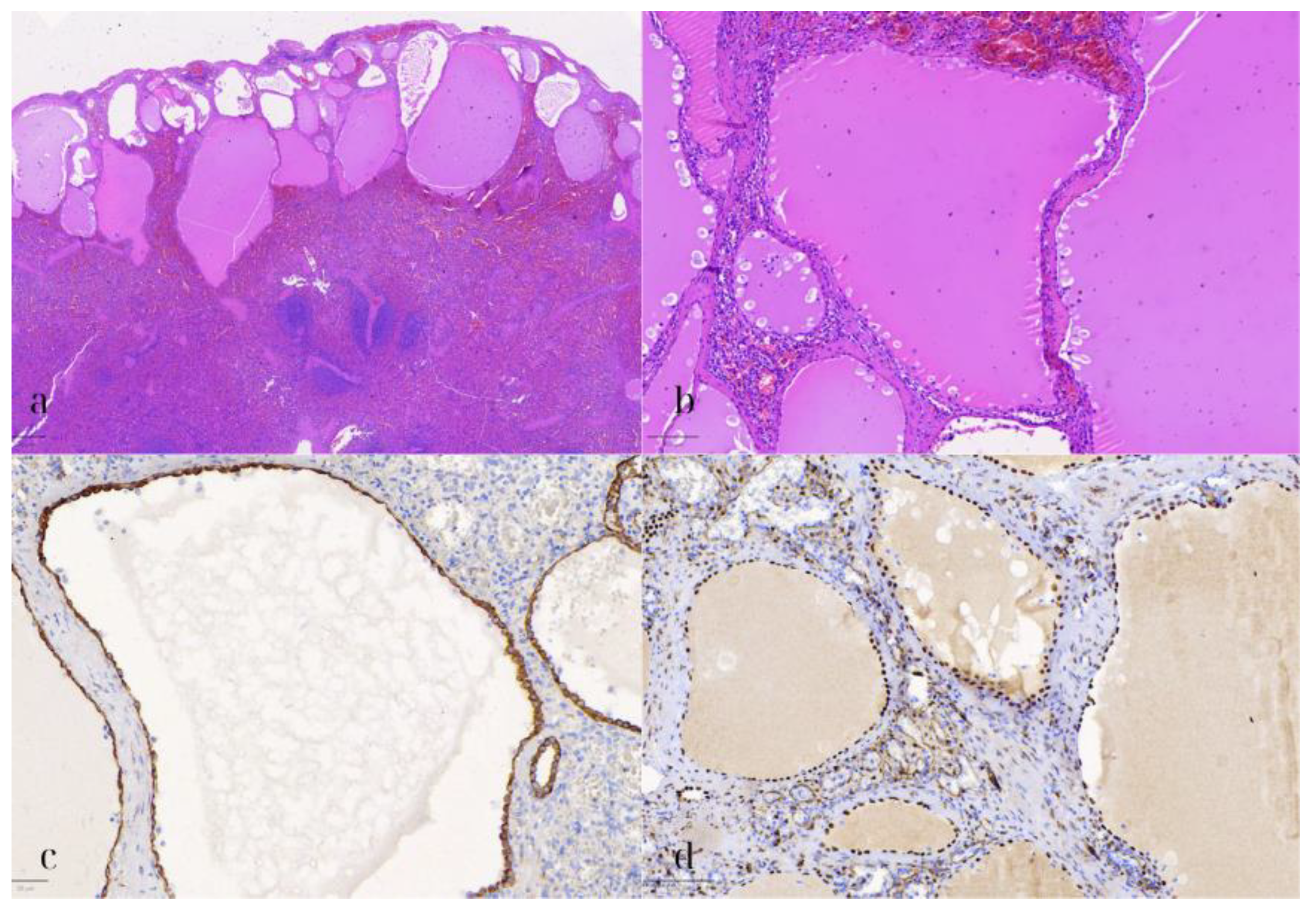 Diseases 13 00203 g007