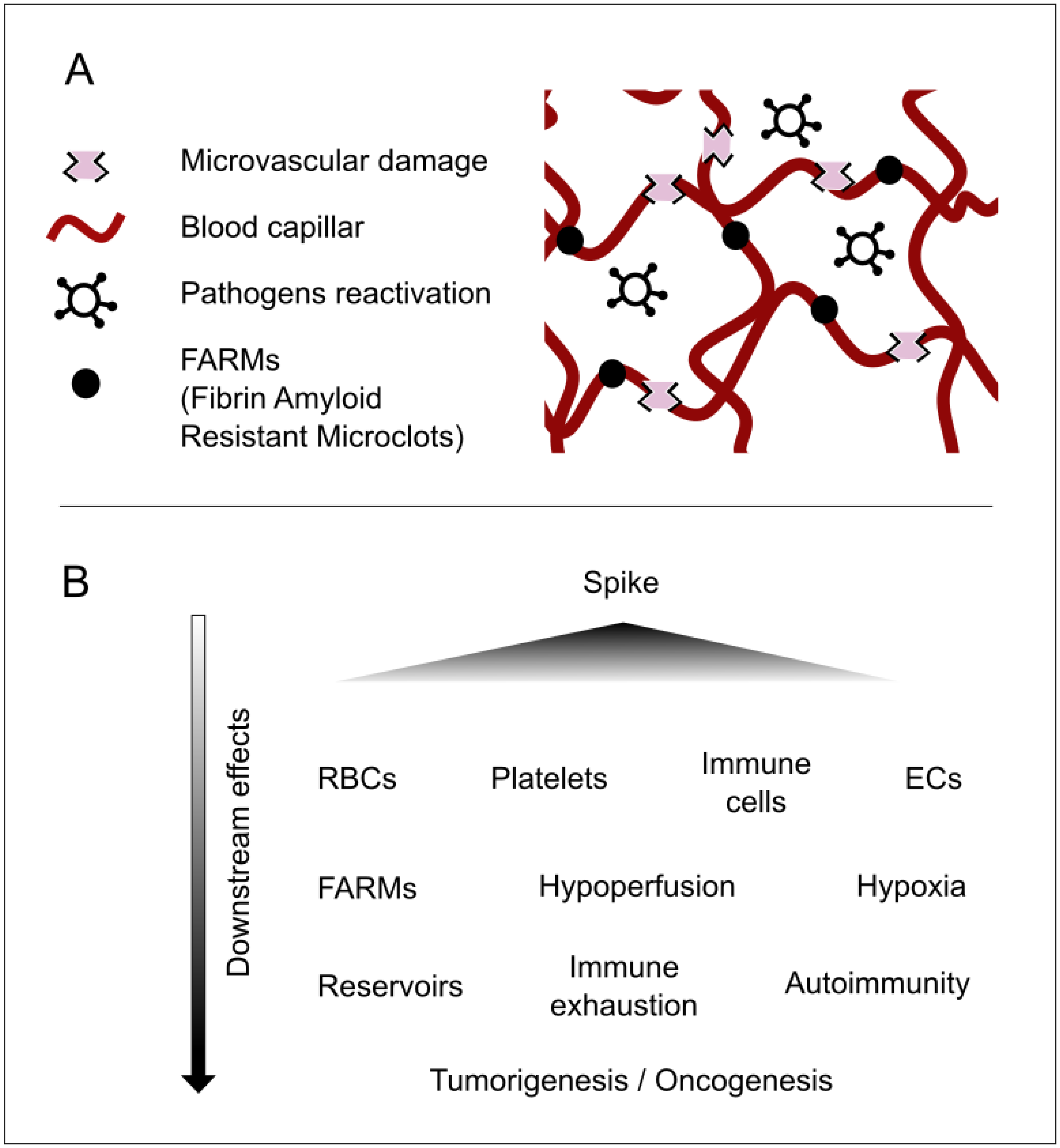 Diseases 13 00204 g001