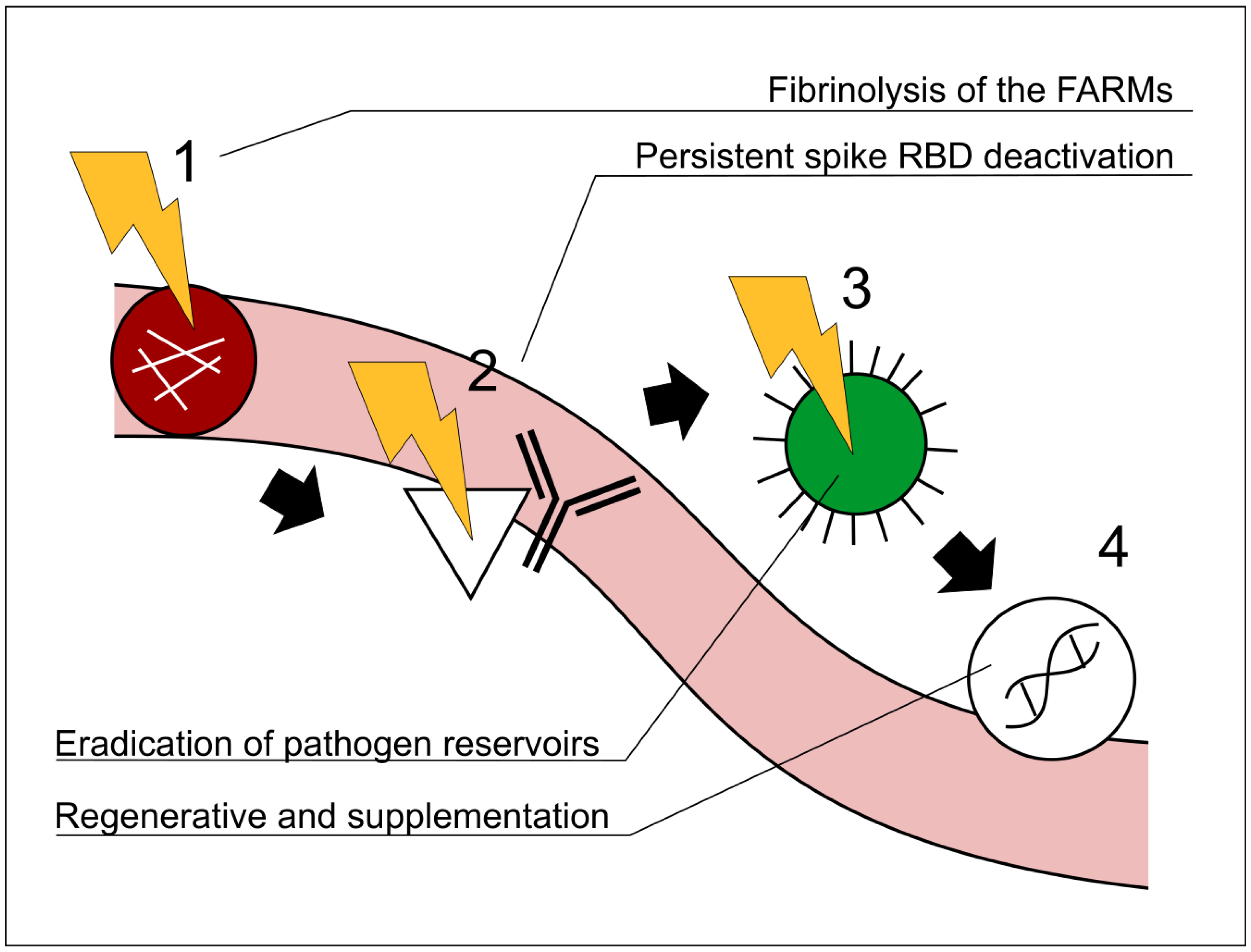 Diseases 13 00204 g002