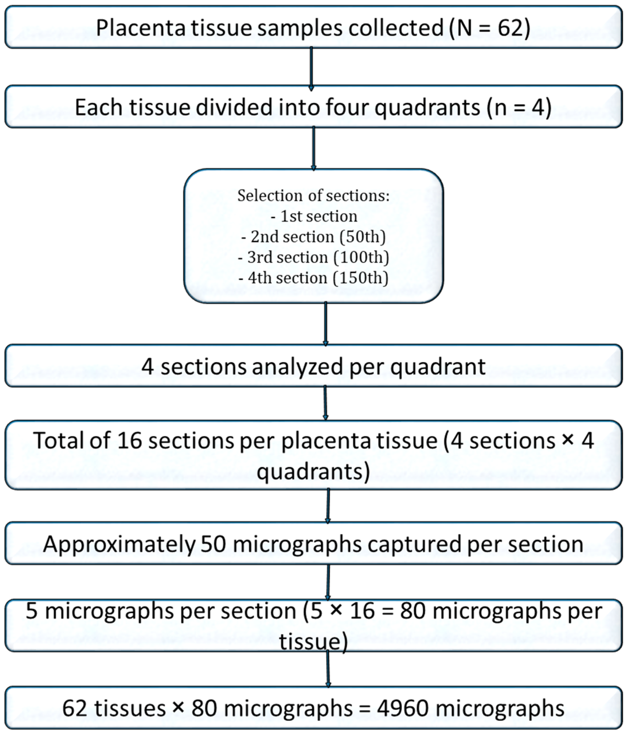 Diseases 13 00205 g001