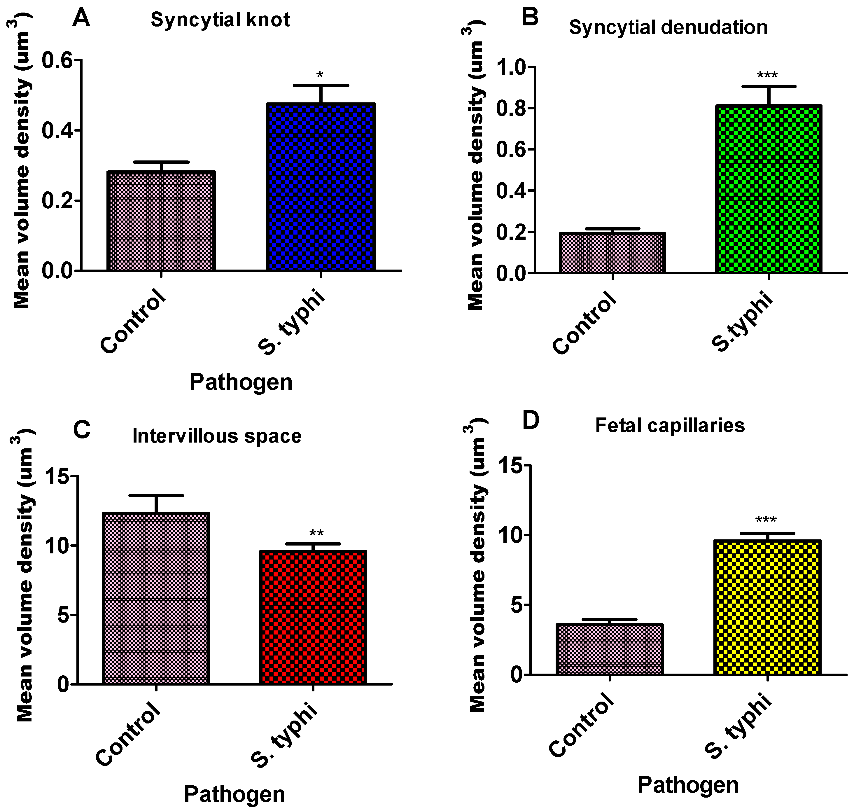 Diseases 13 00205 g002