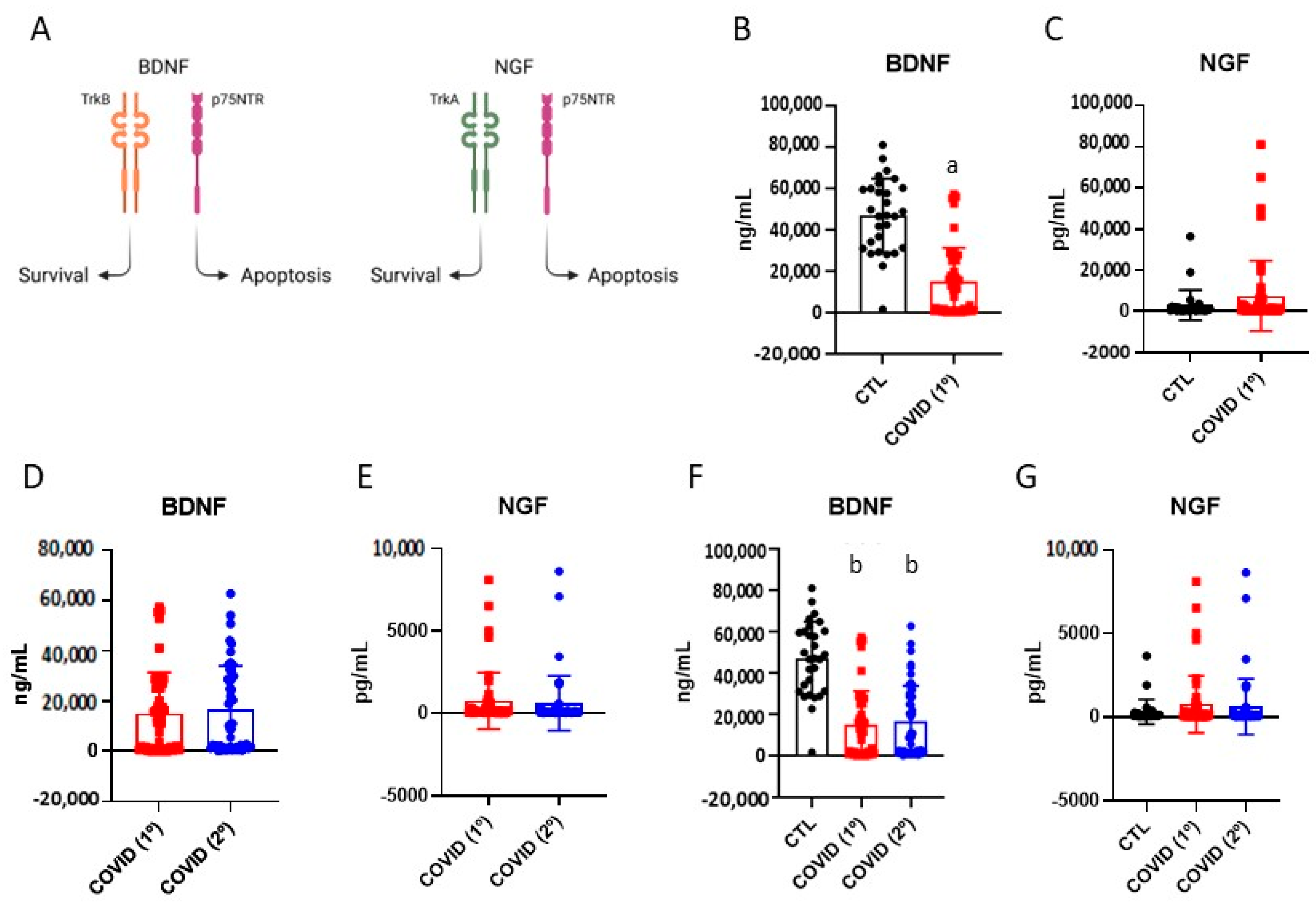 Diseases 13 00209 g002
