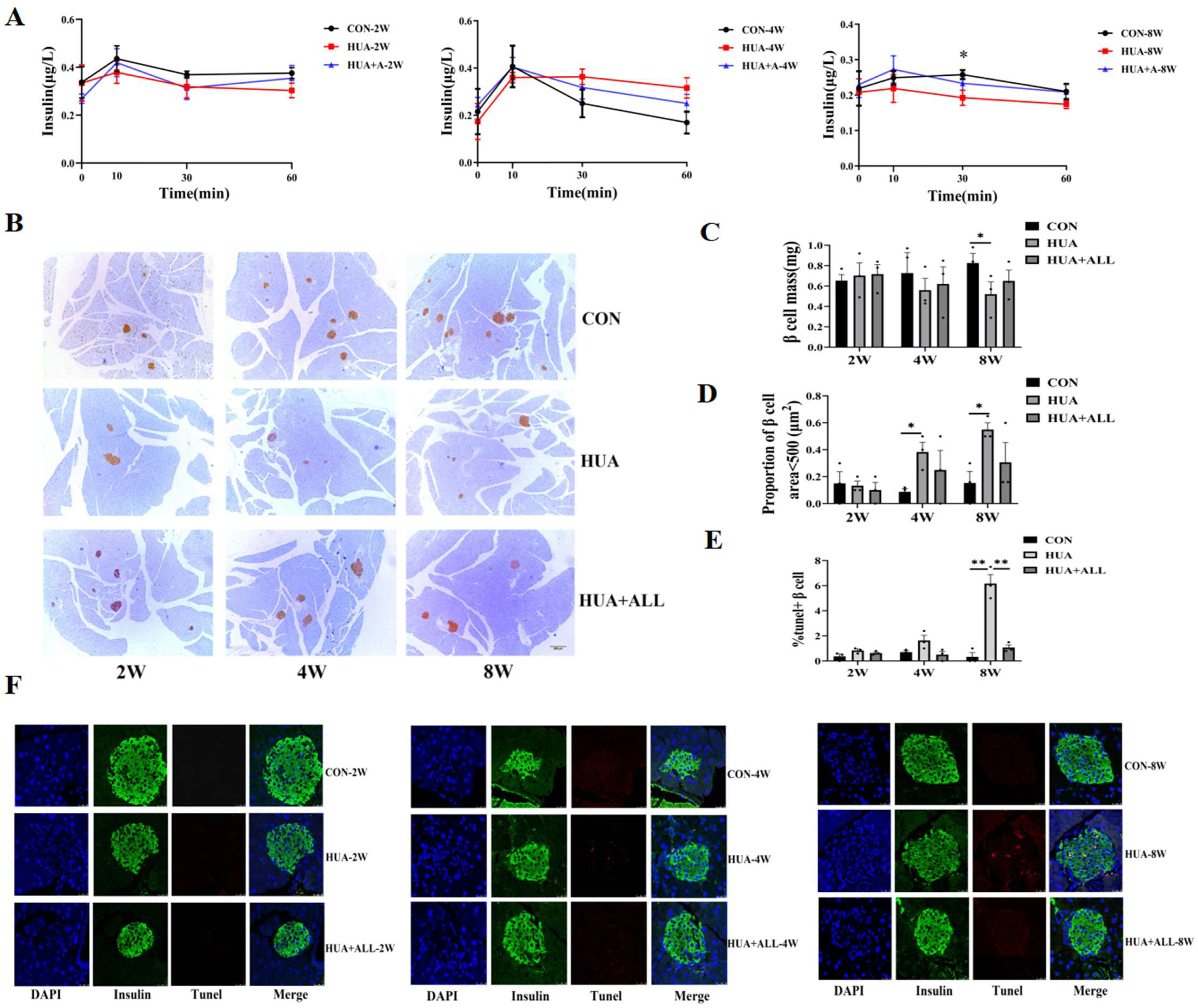 Diseases 13 00213 g001