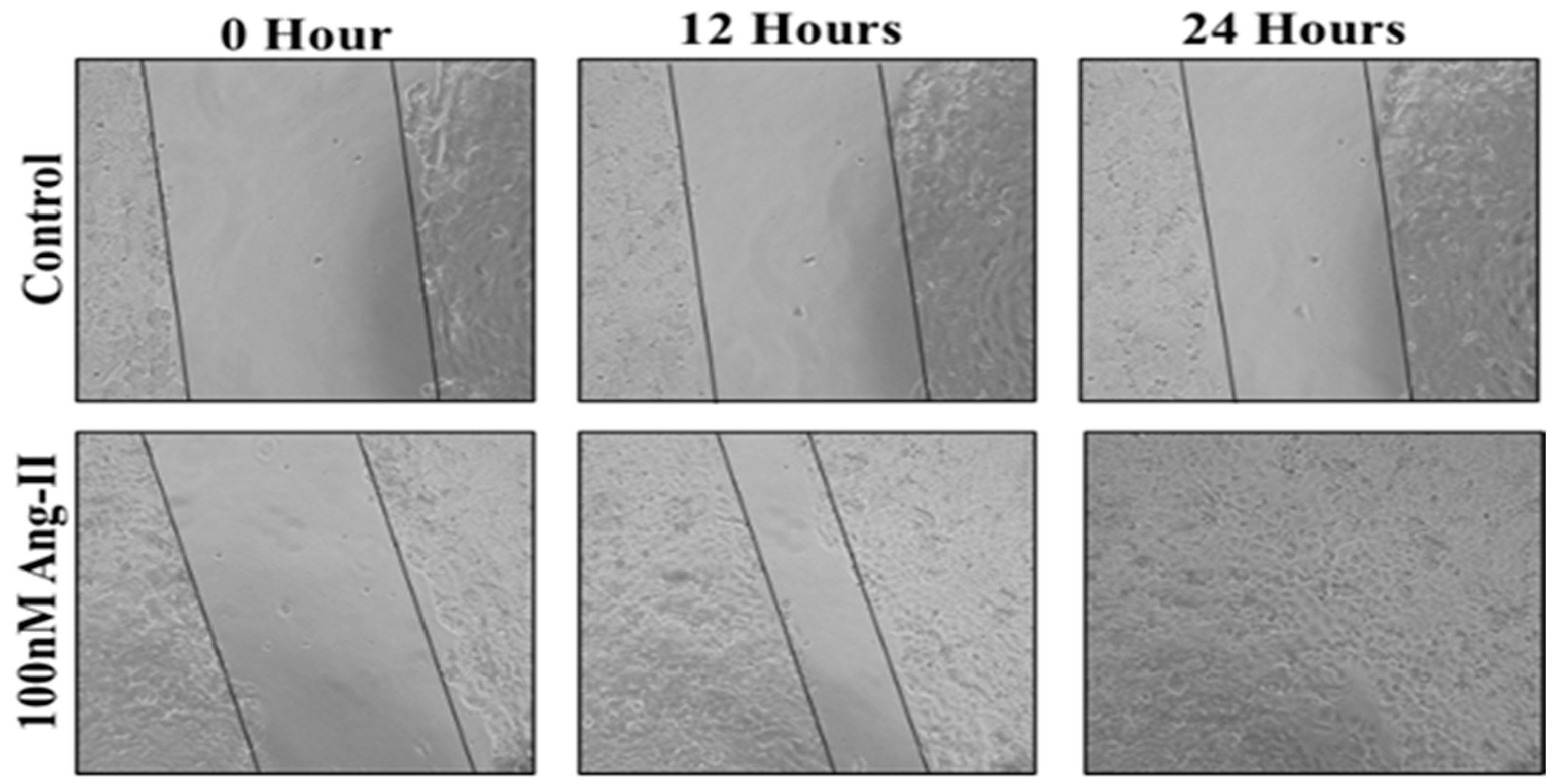 Diseases 13 00216 g005
