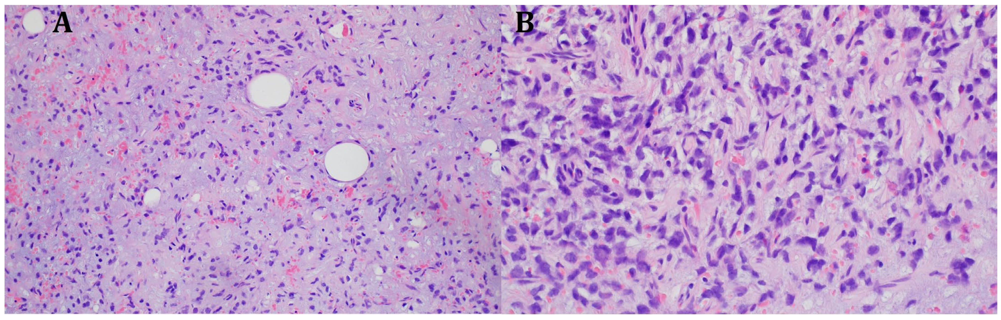 Diseases 13 00220 g004