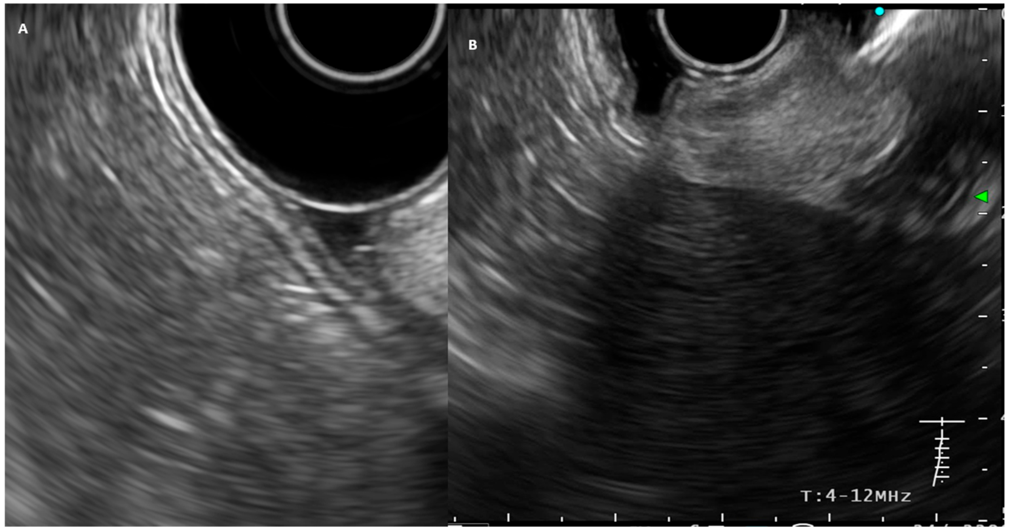 Diseases 13 00234 g001