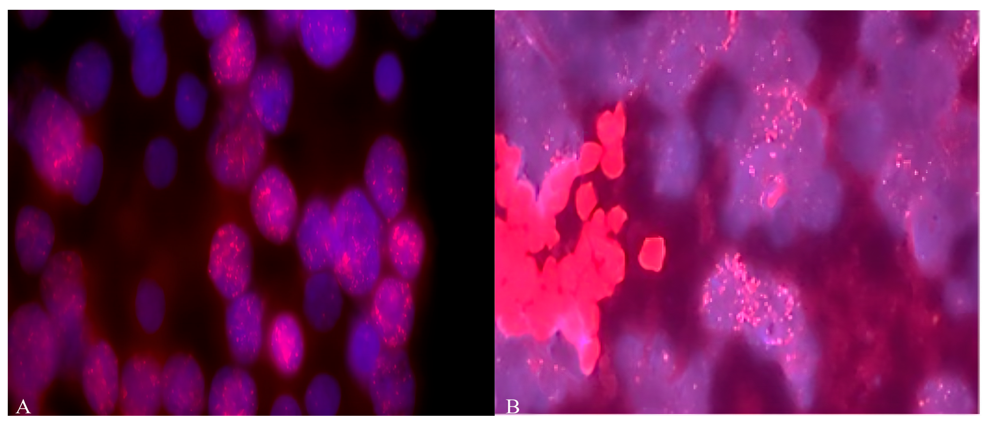 Diseases 13 00238 g001