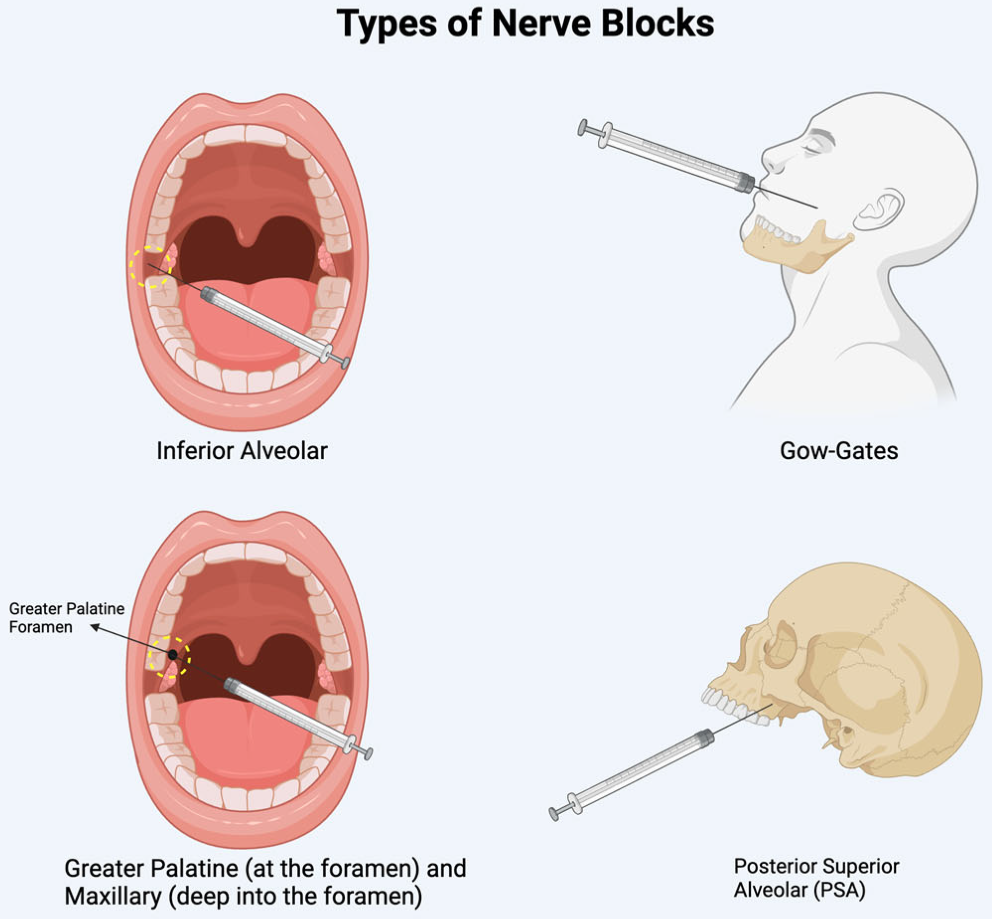 Diseases 13 00244 g004