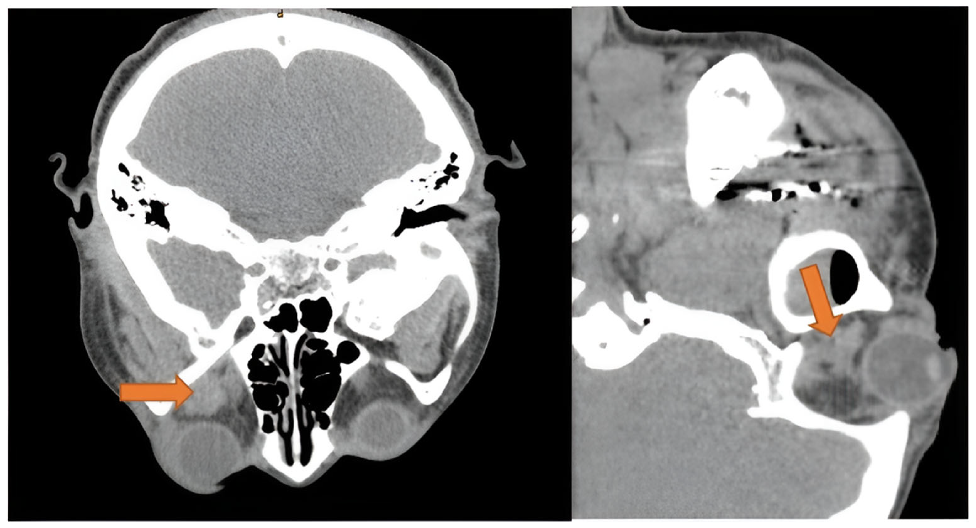 Diseases 13 00244 g005