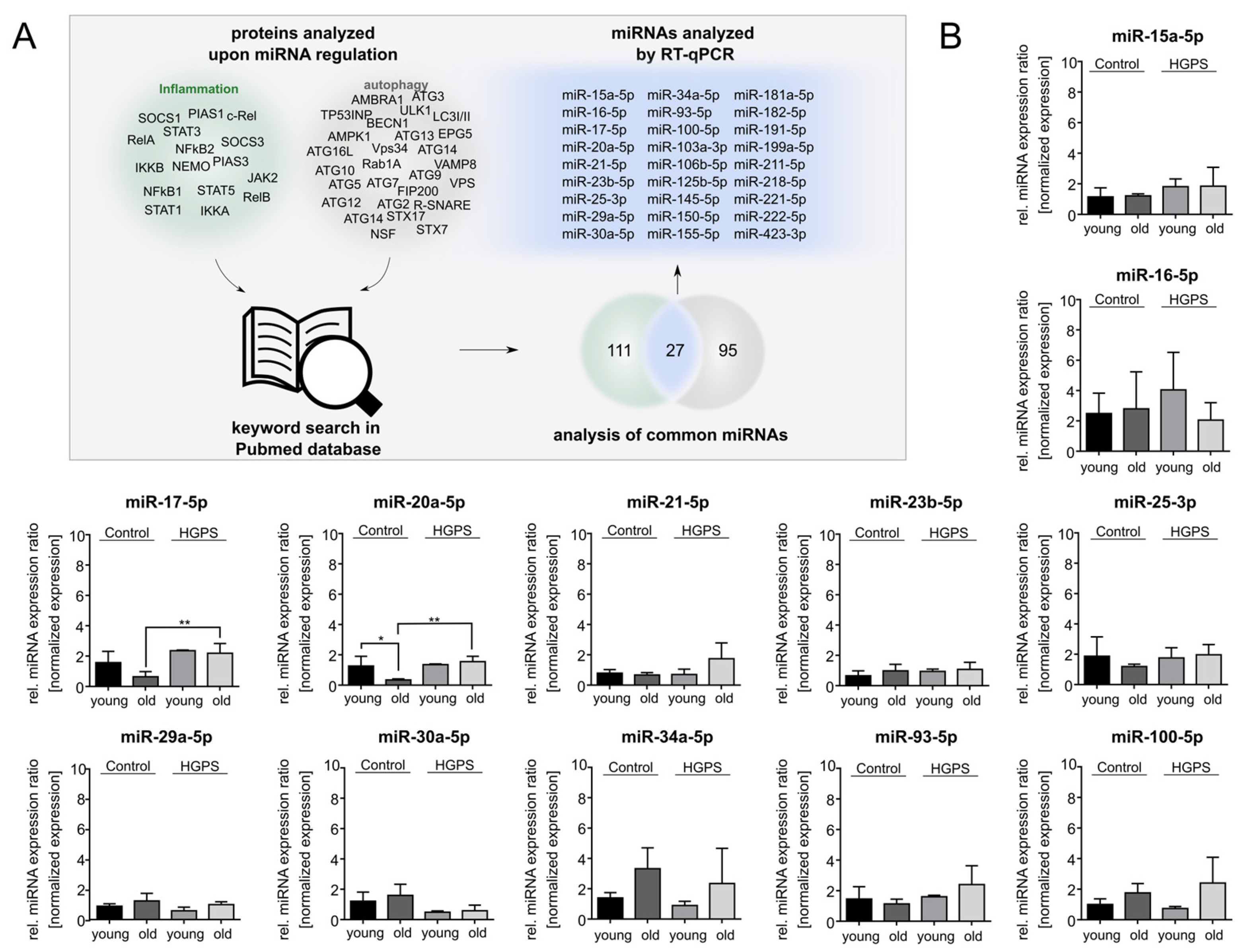 Diseases 13 00245 g002a