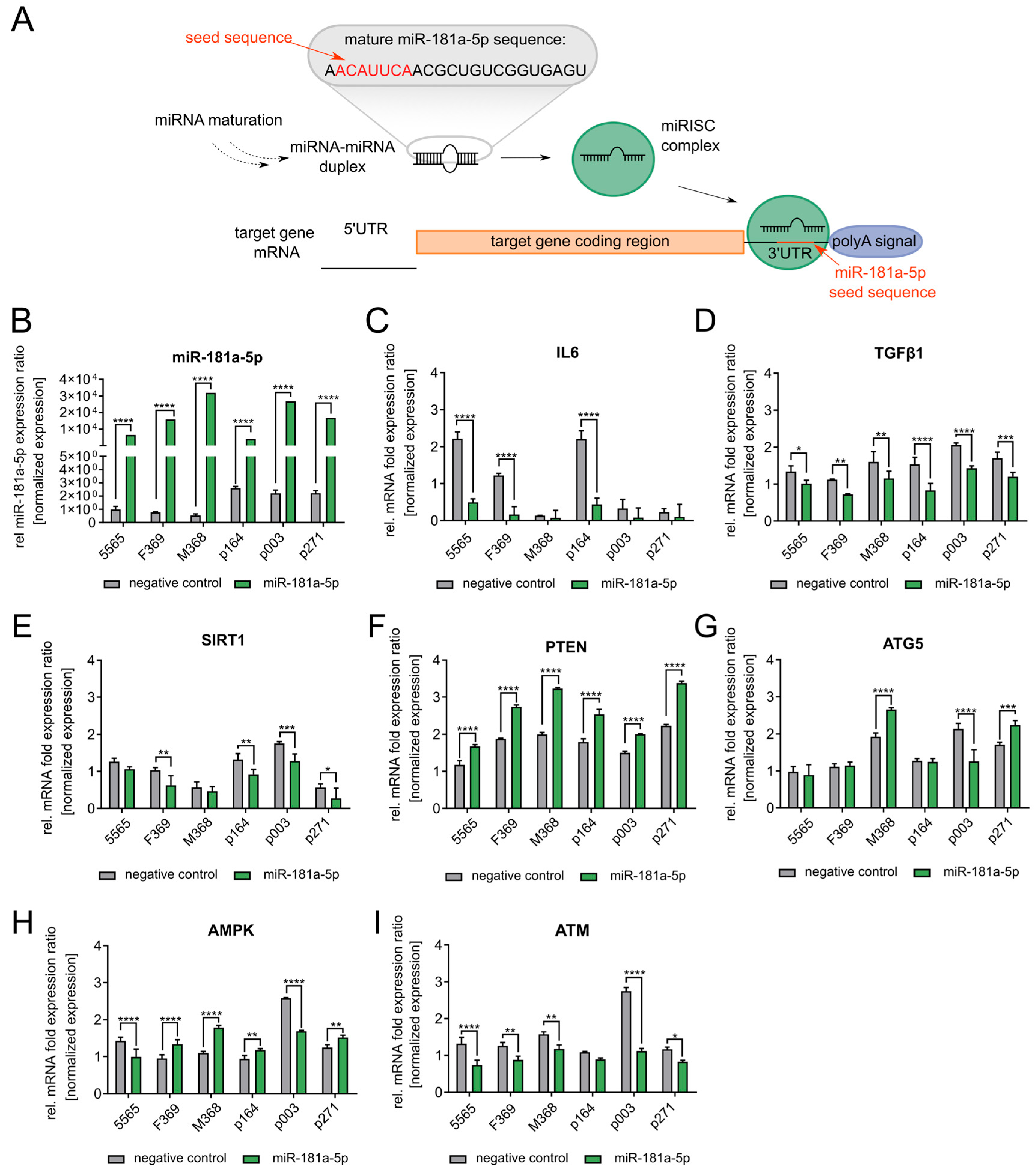 Diseases 13 00245 g003
