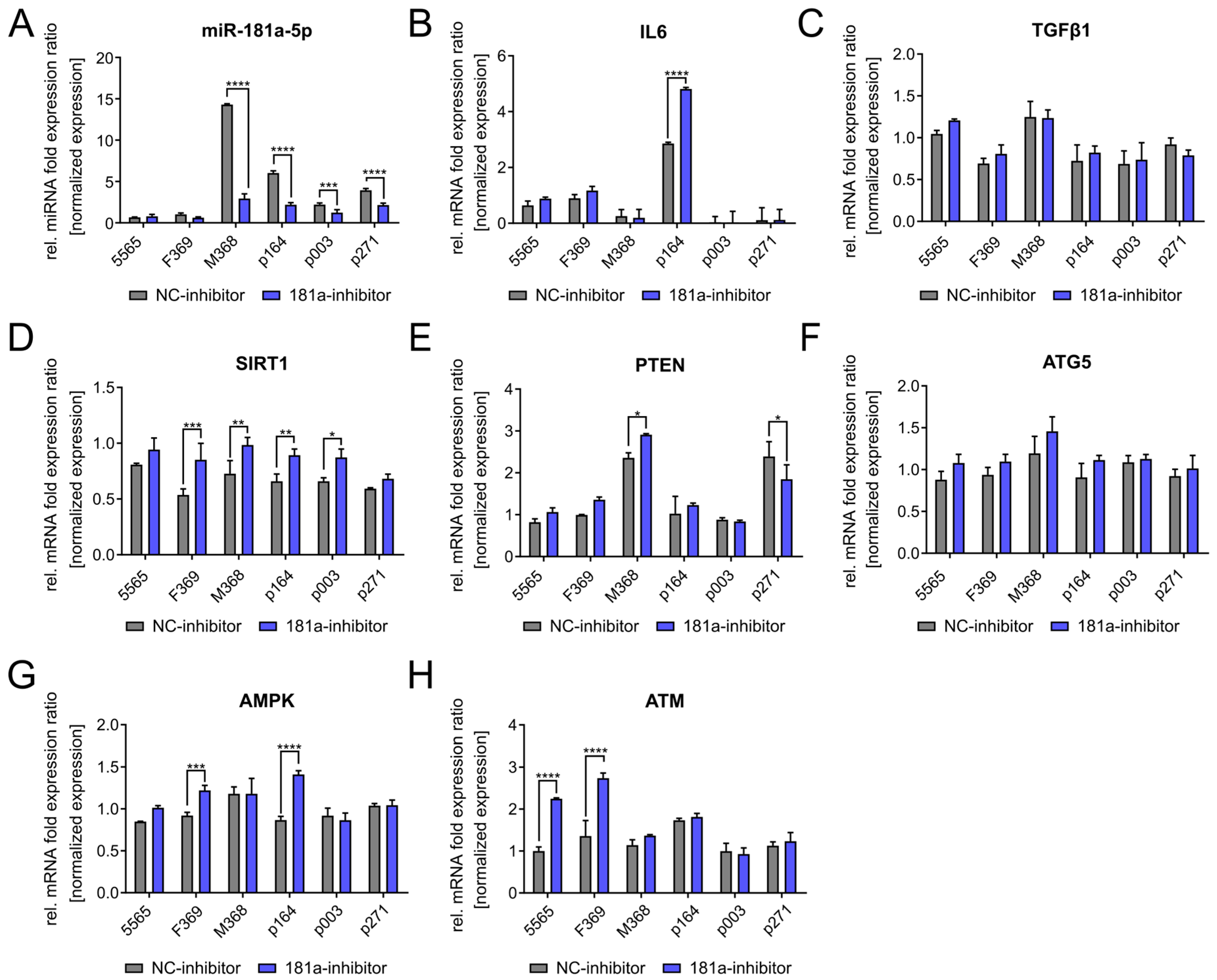 Diseases 13 00245 g004