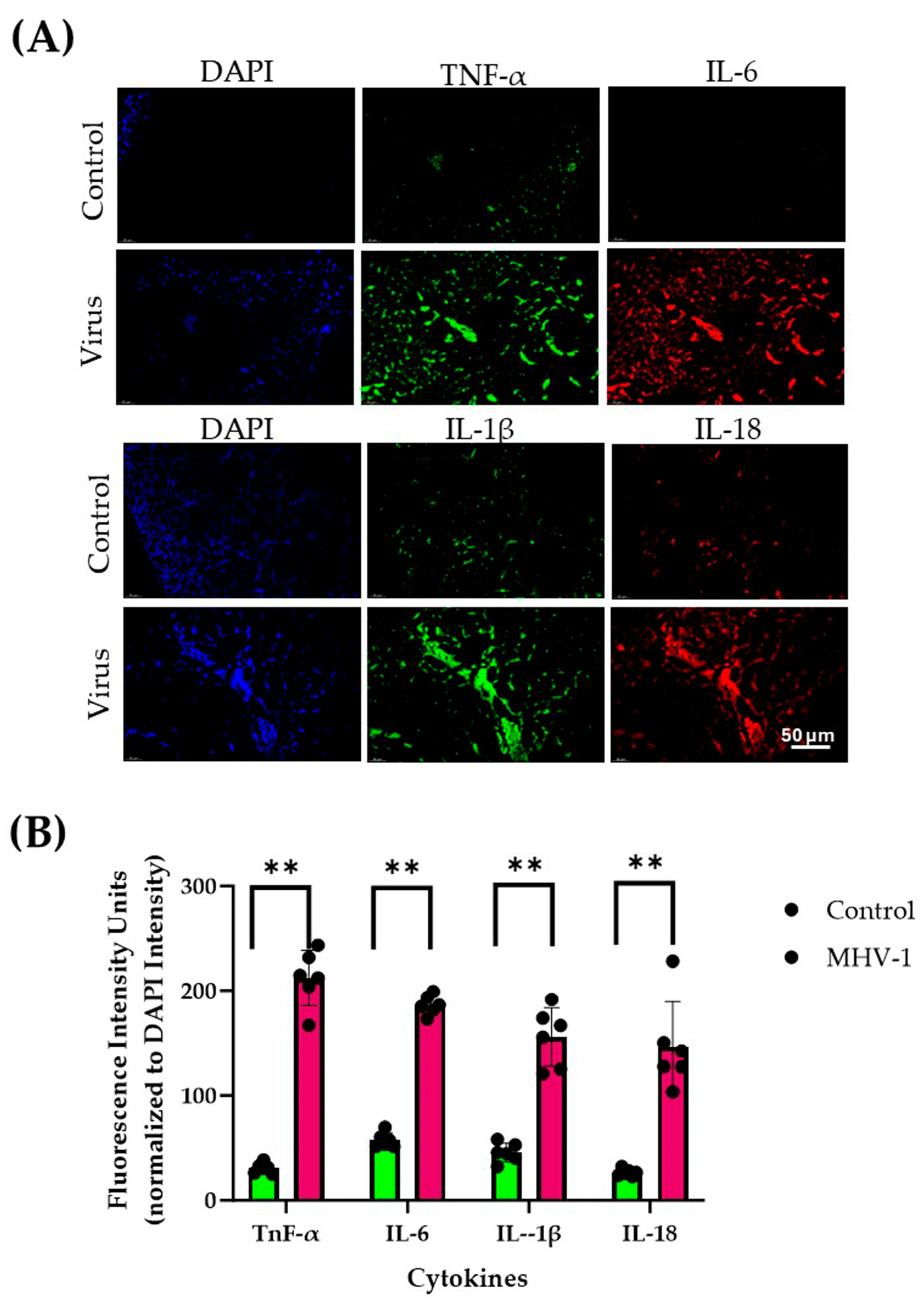 Diseases 13 00246 g001