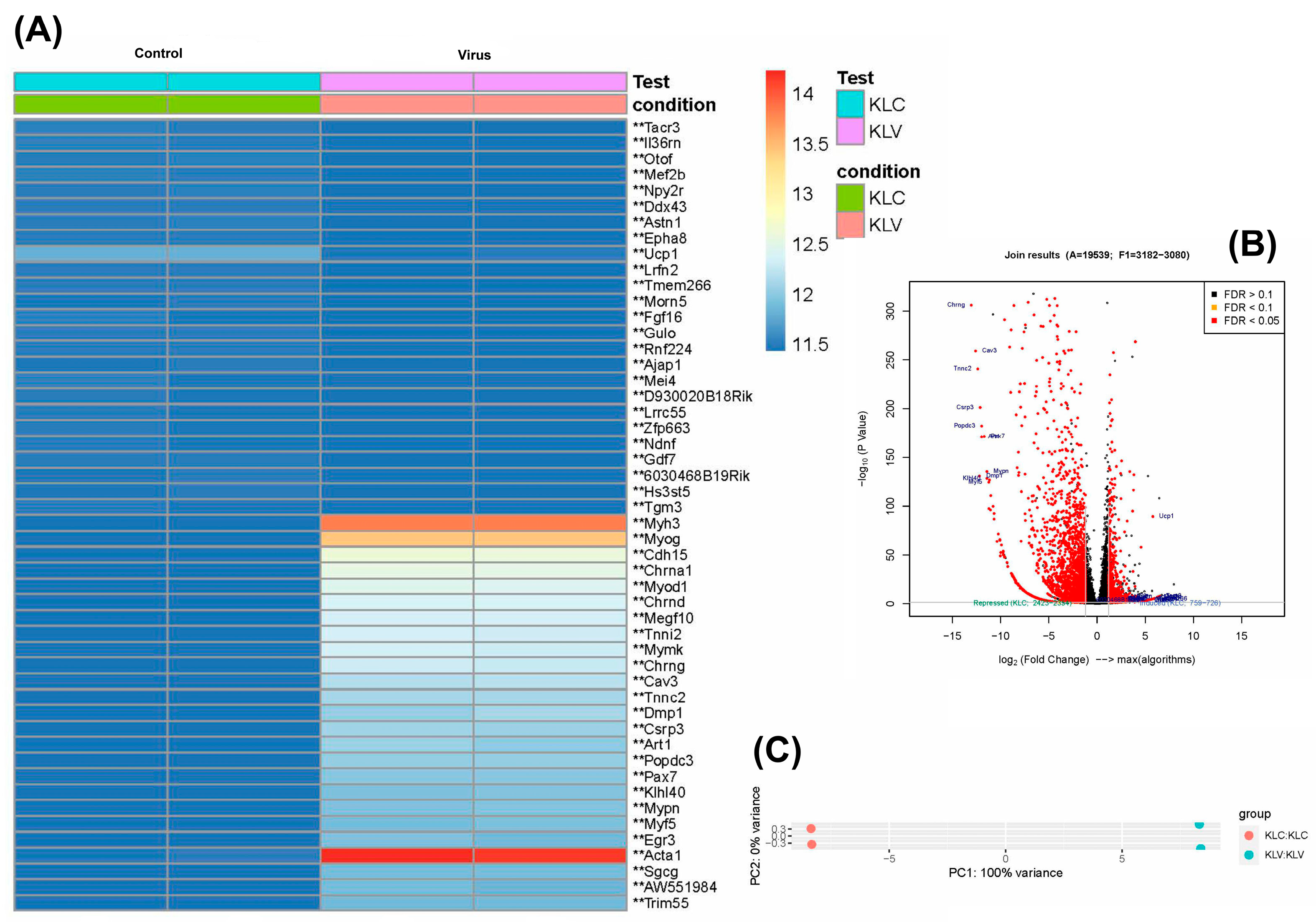 Diseases 13 00246 g005