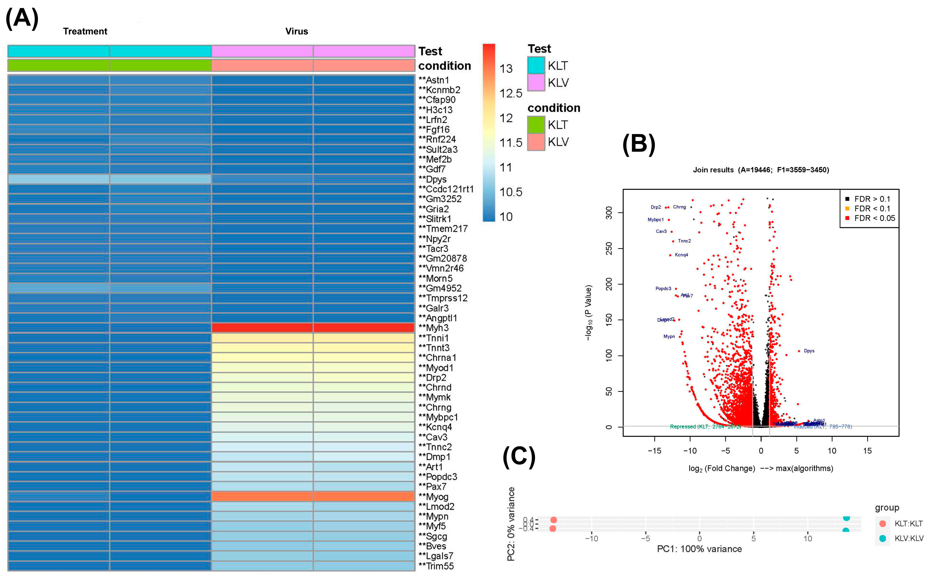 Diseases 13 00246 g006