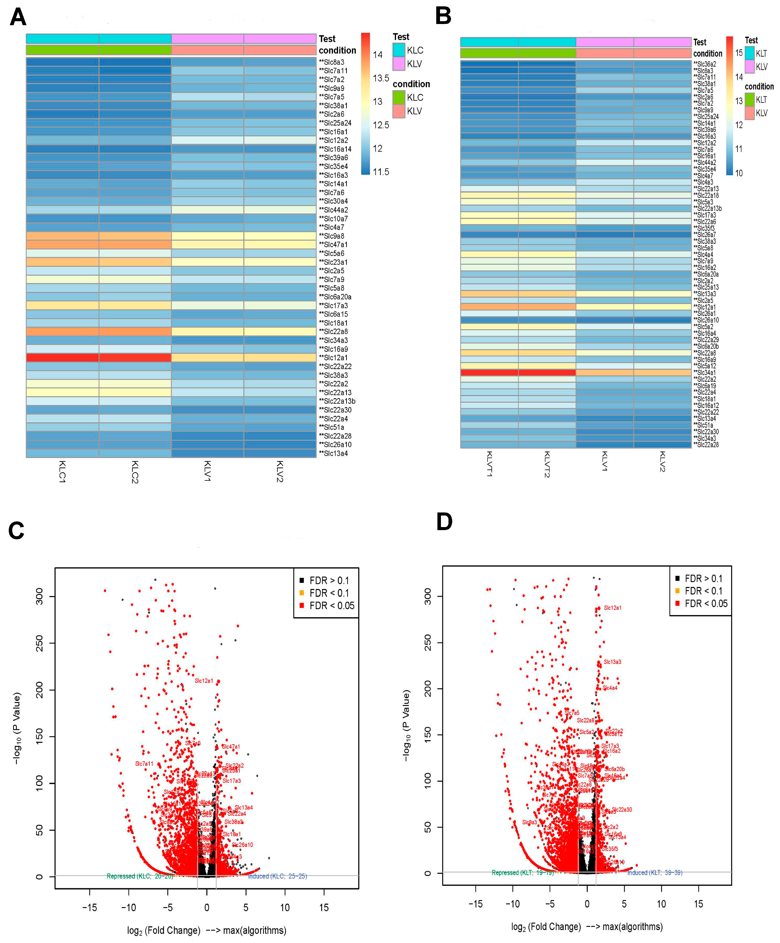 Diseases 13 00246 g007