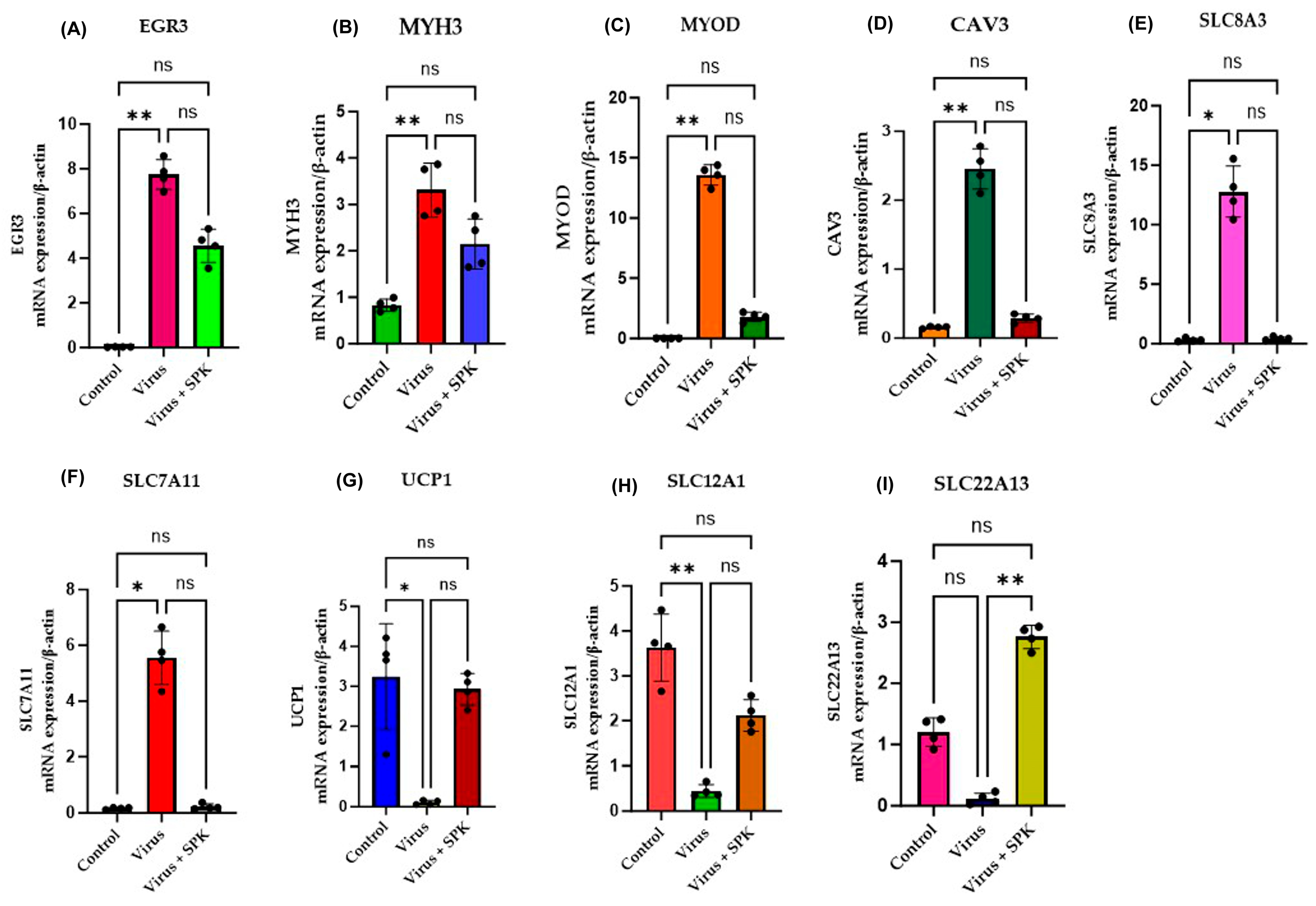 Diseases 13 00246 g009