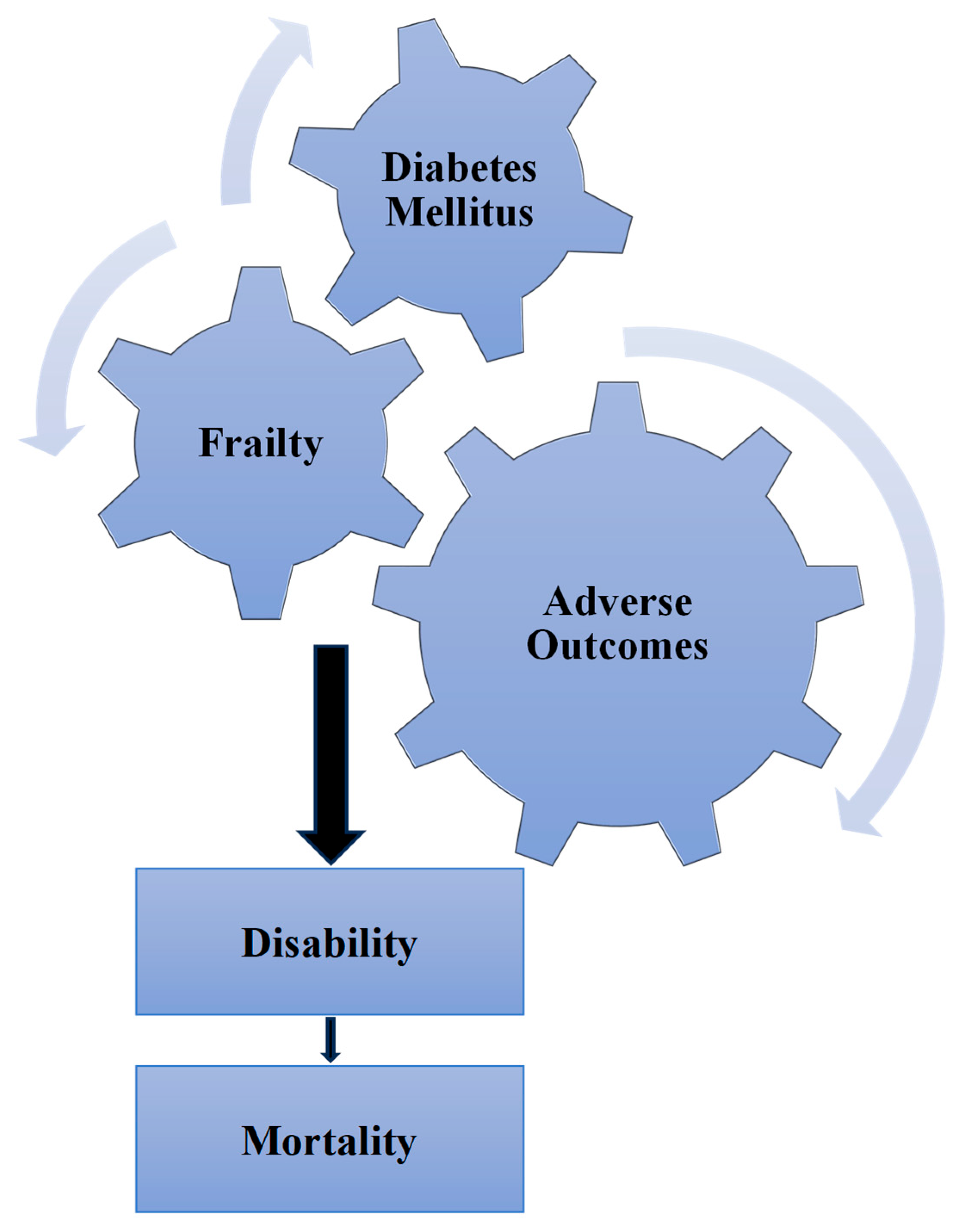 Diseases 13 00249 g001